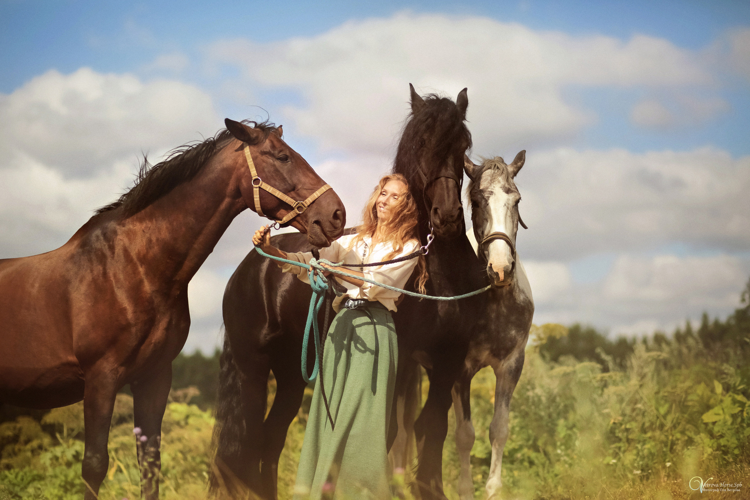 Съемка с тремя лошадьми в поле. Фотограф женский и мужской портрет Санкт-Петербург