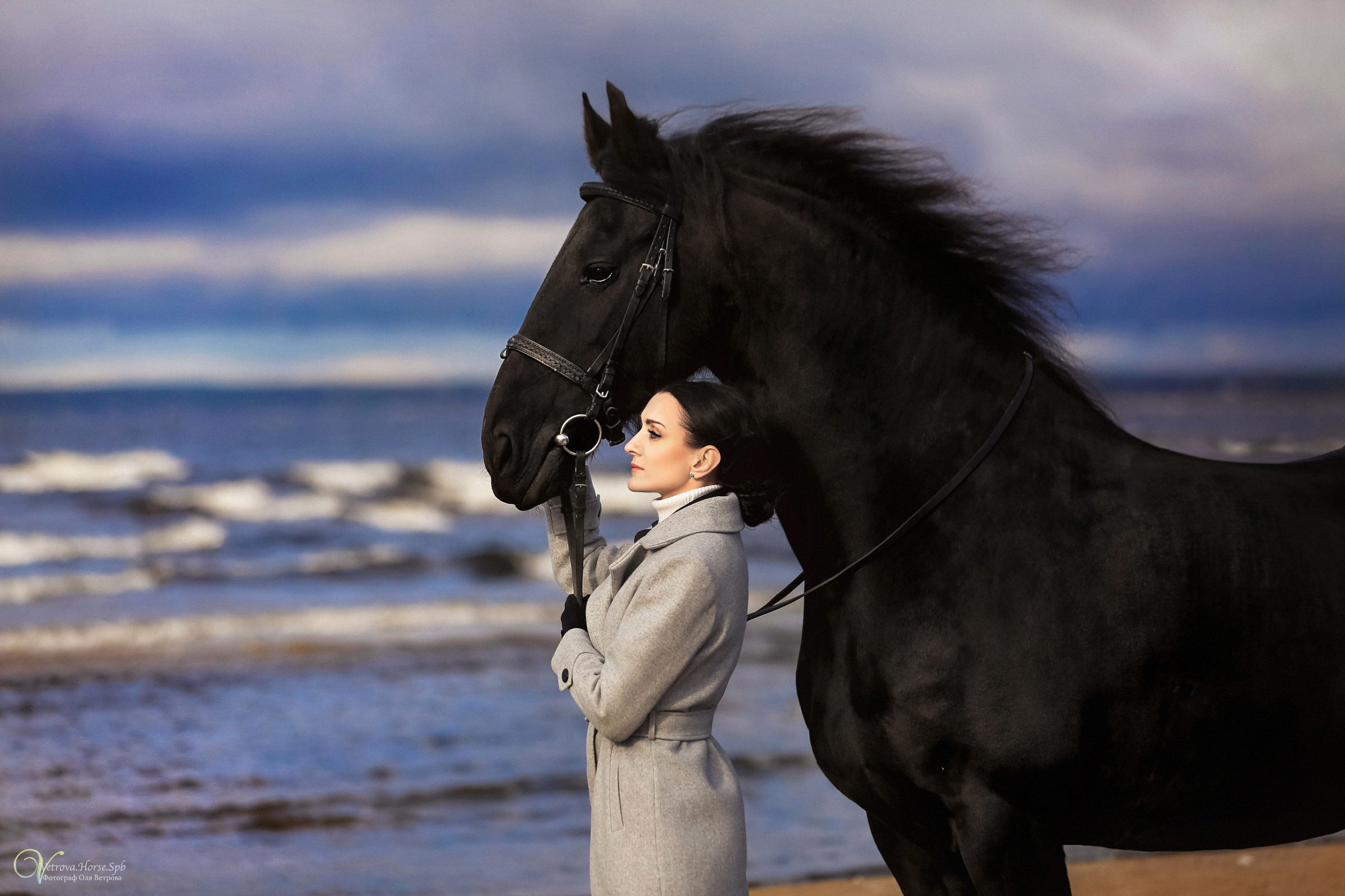 Залив  и лошади. Фотограф женский и мужской портрет Санкт-Петербург