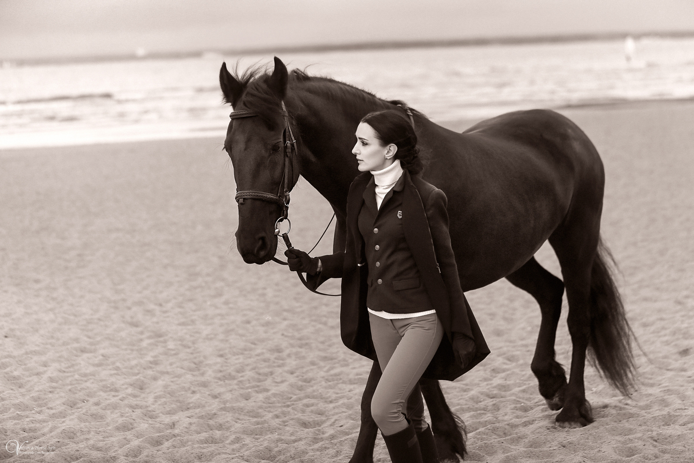 Фотосессия на заливе в двумя лошадьми СПб. Фотограф женский и мужской портрет Санкт-Петербург