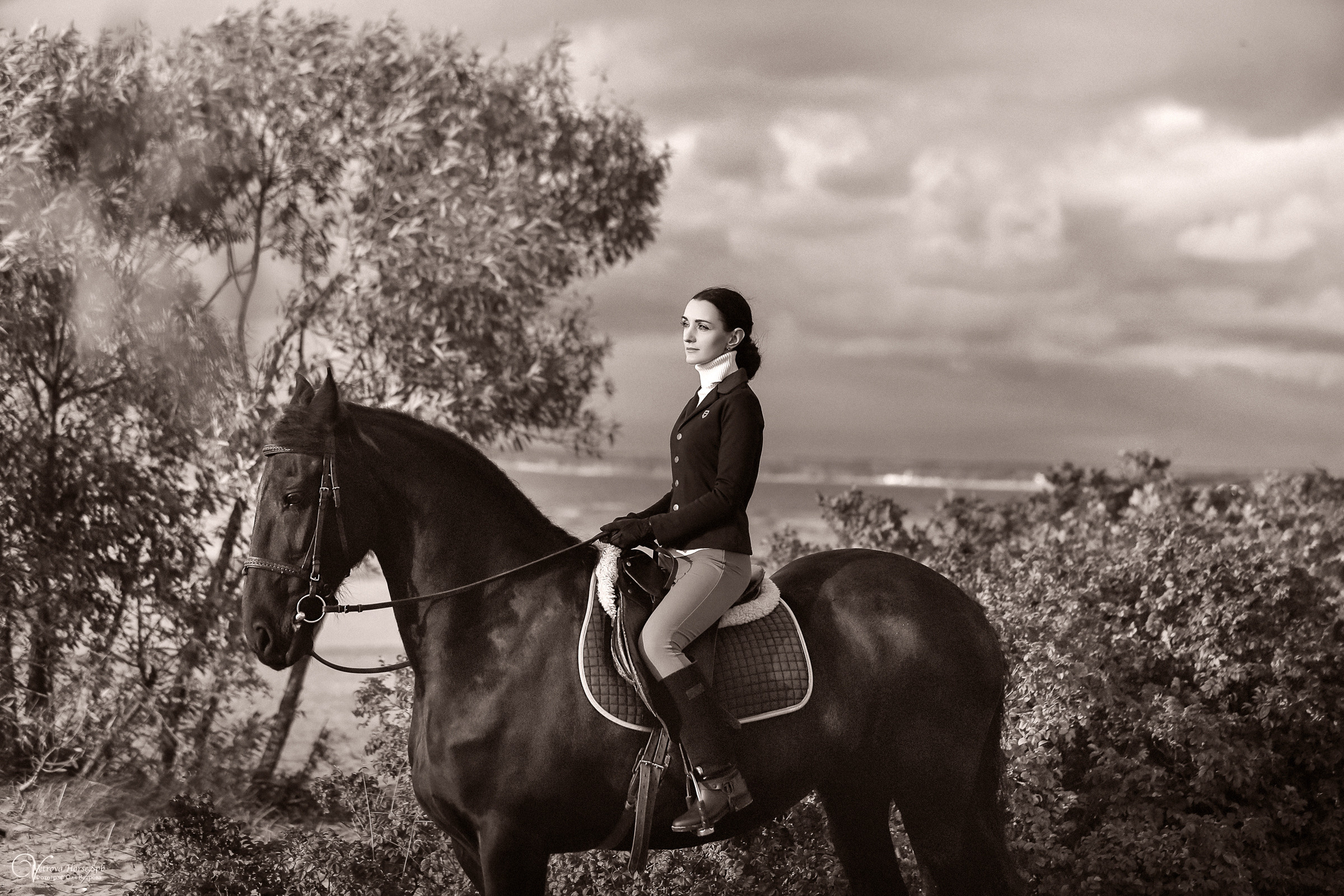 Осенняя съемка с лошадью В СПБ. Фотограф женский и мужской портрет Санкт-Петербург