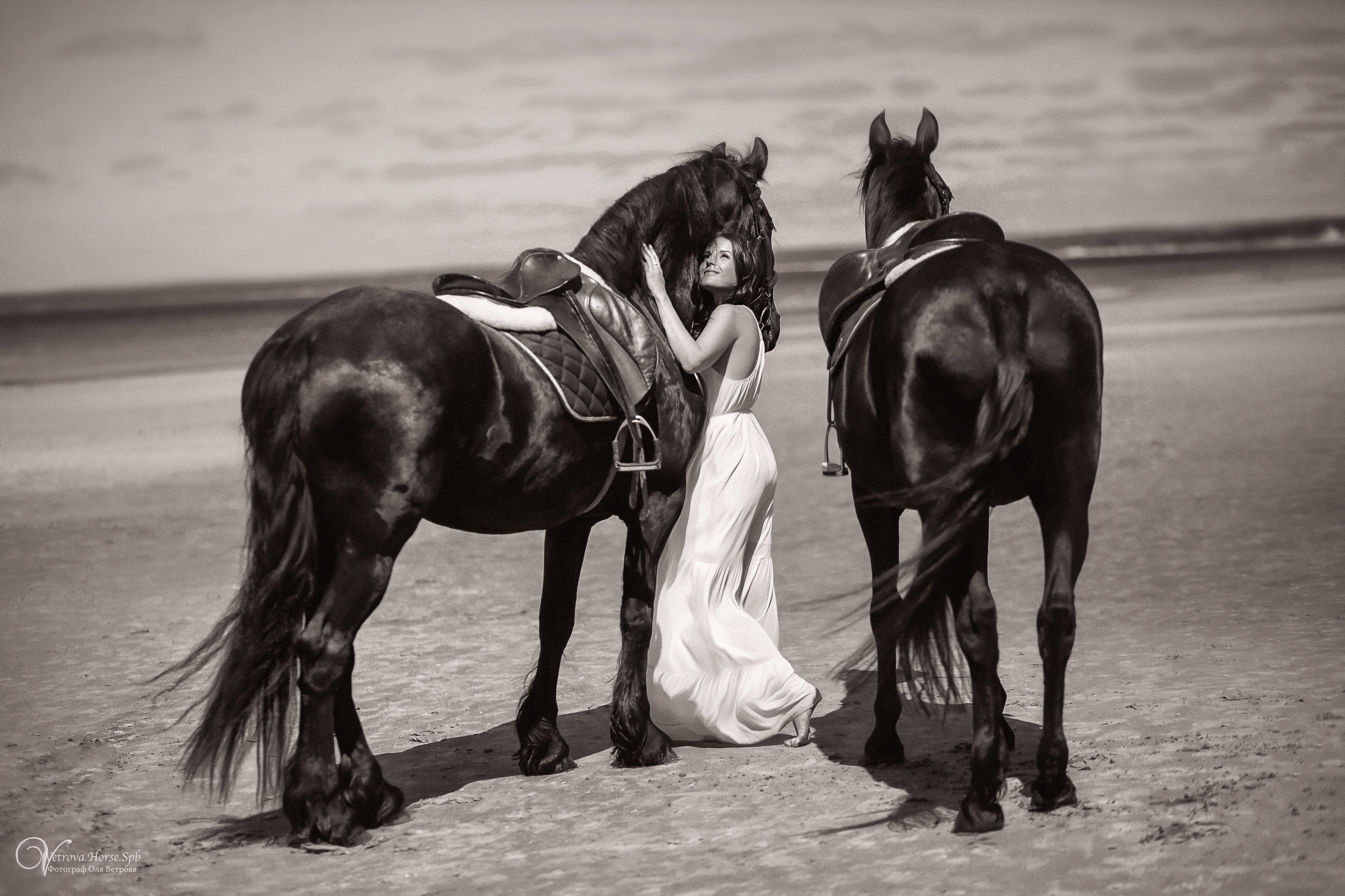 Фотосессия  с двумя конями в Санкт-Петербурге. Фотограф женский и мужской портрет Санкт-Петербург