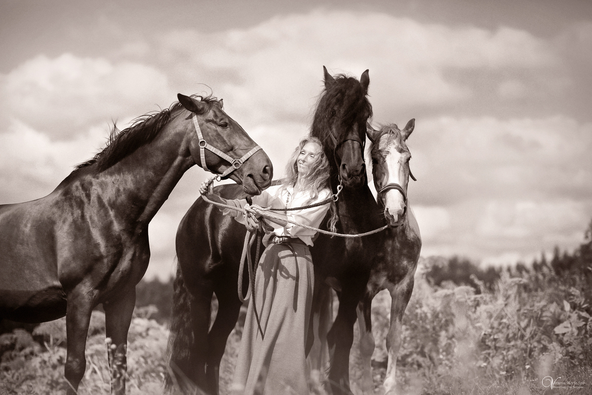 Съемка с тремя лошадьми в поле. Фотограф женский и мужской портрет Санкт-Петербург