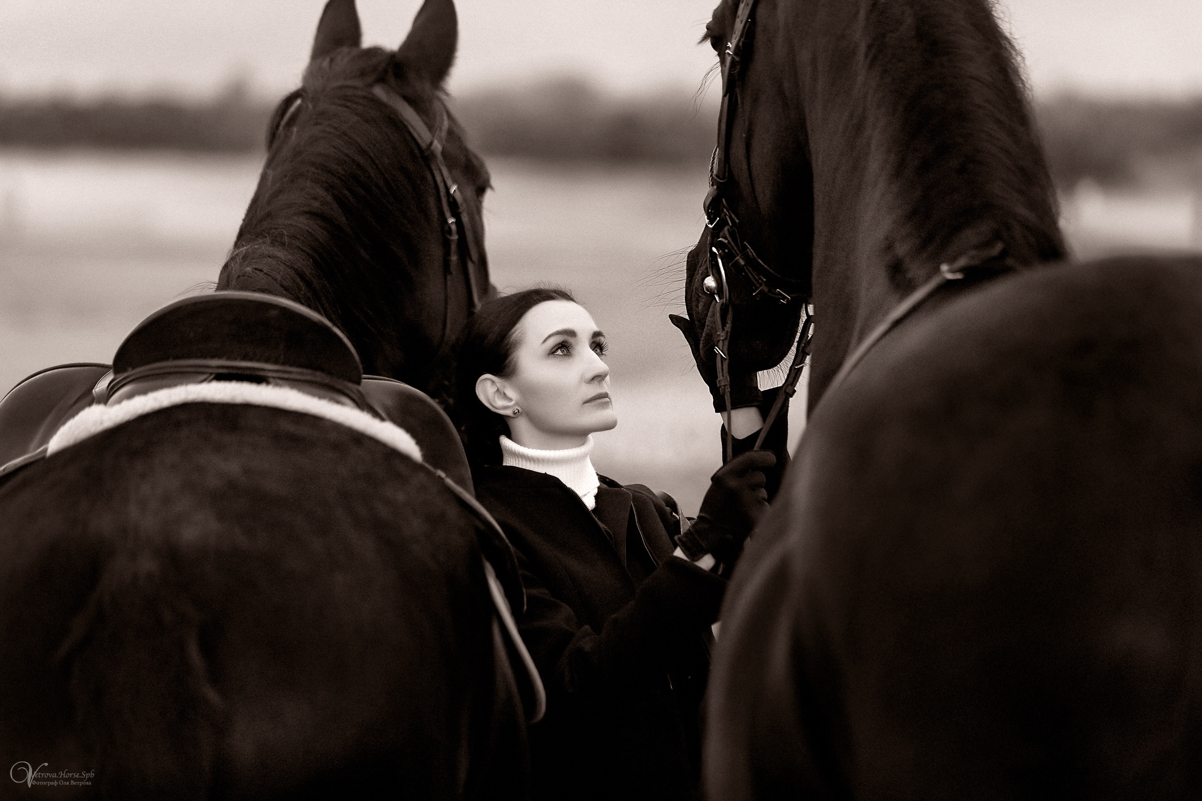 Два коня на заливе. Фотограф женский и мужской портрет Санкт-Петербург
