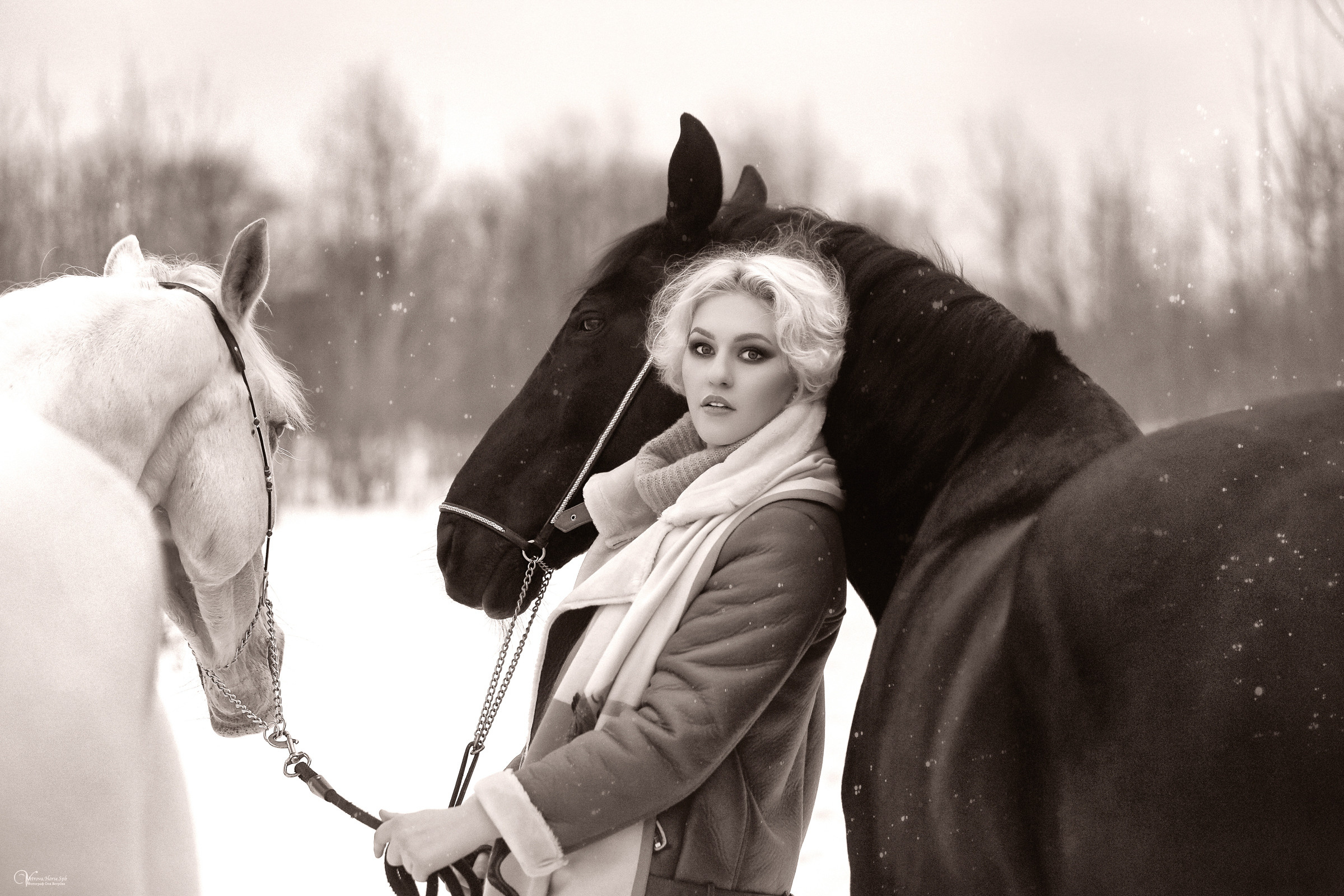 Съемка девушки и два коня. Фотограф женский и мужской портрет Санкт-Петербург
