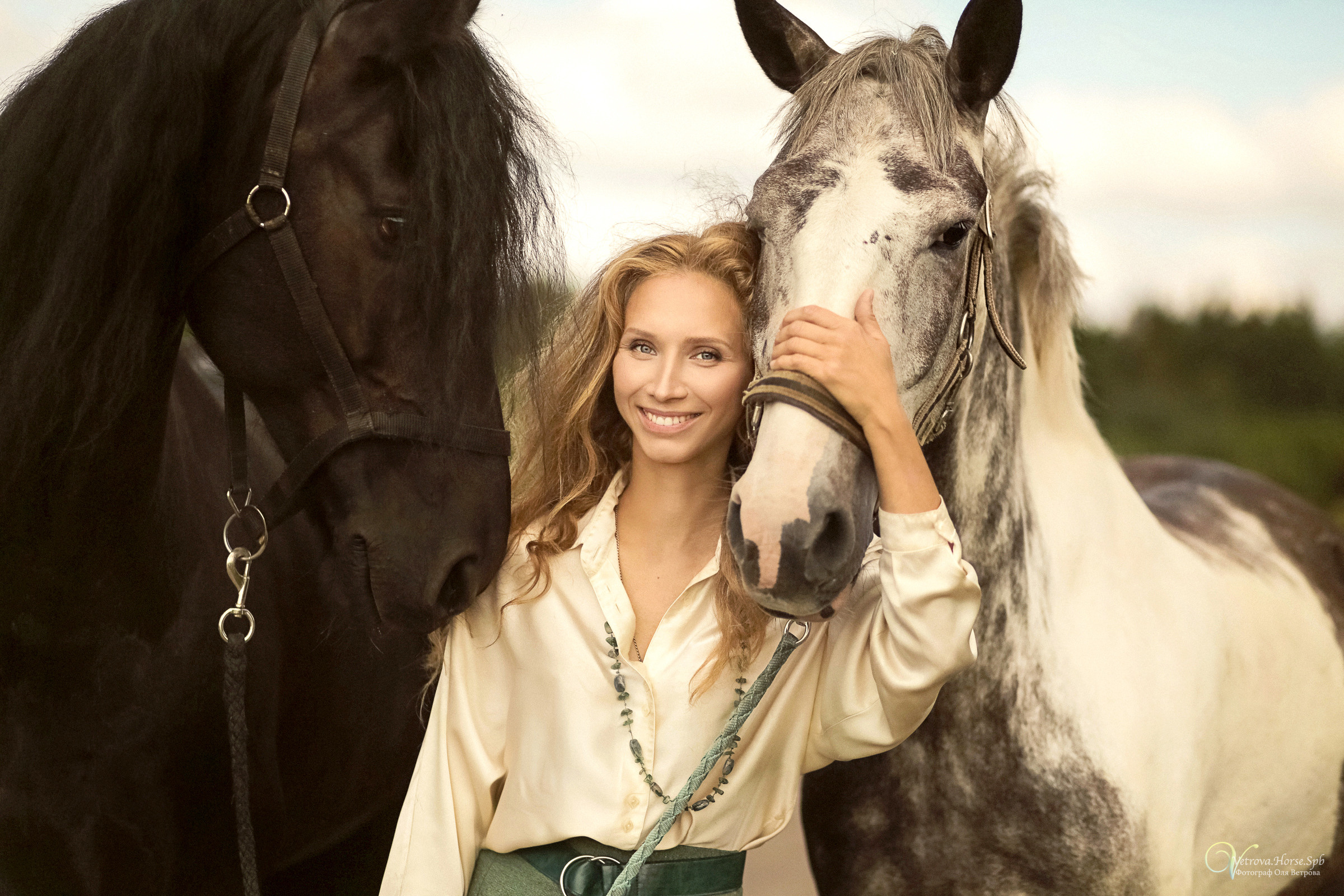 Съемка с тремя лошадьми в поле. Фотограф женский и мужской портрет Санкт-Петербург