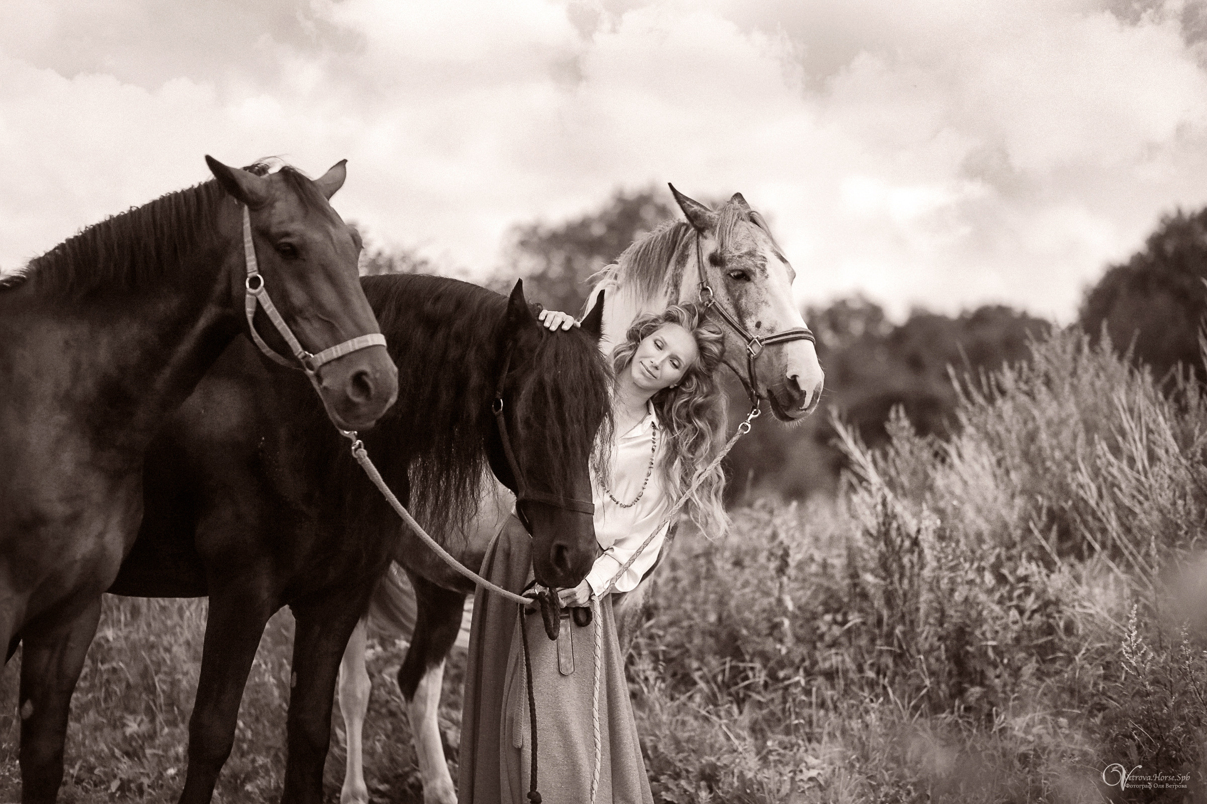 Съемка с тремя лошадьми в поле. Фотограф женский и мужской портрет Санкт-Петербург