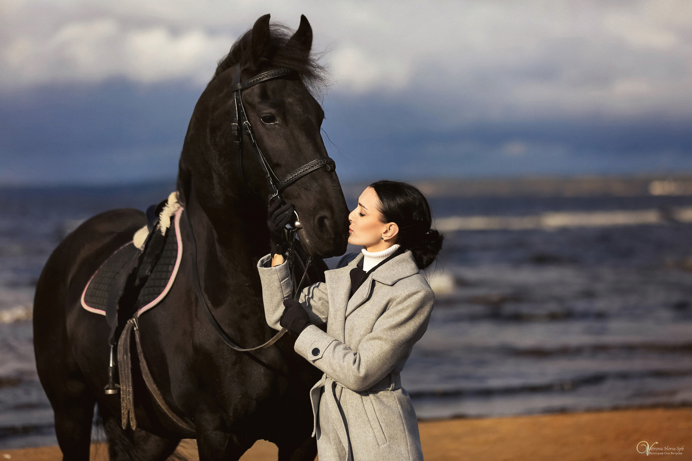 Залив  и лошади. Фотограф женский и мужской портрет Санкт-Петербург