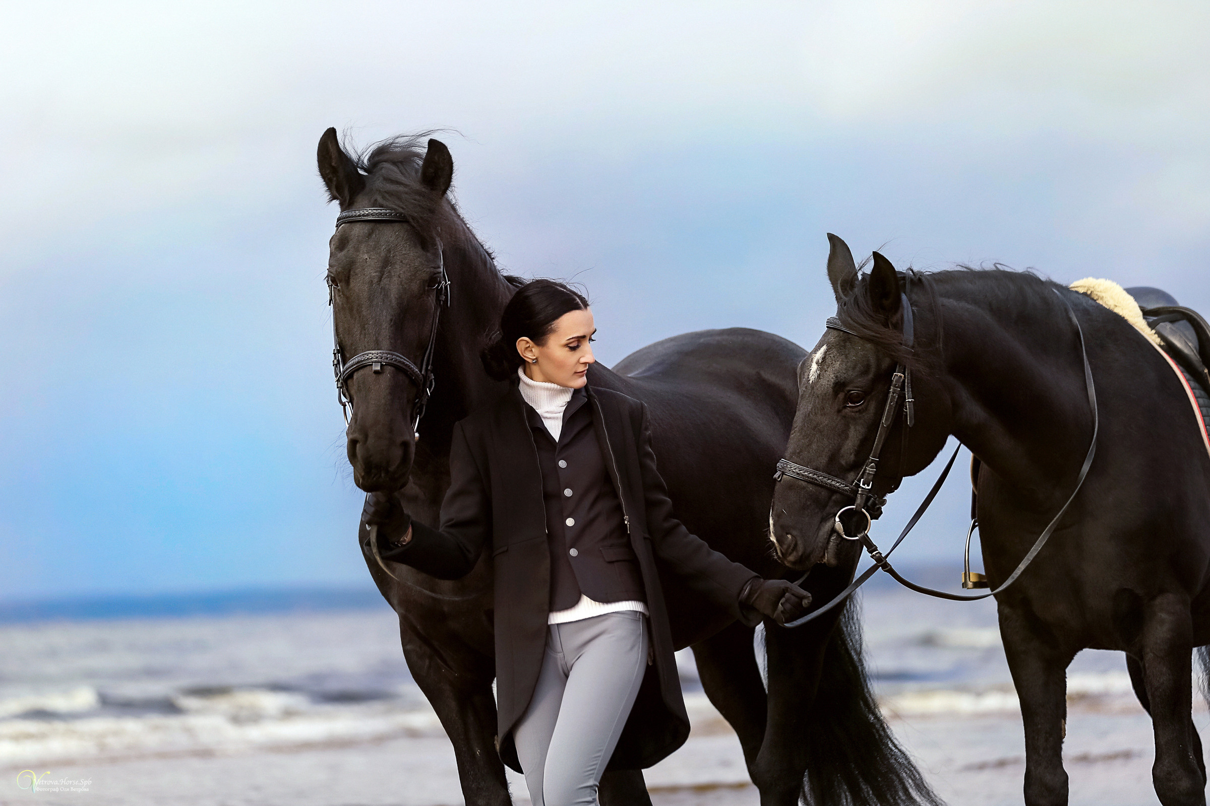 Два коня на заливе. Фотограф женский и мужской портрет Санкт-Петербург