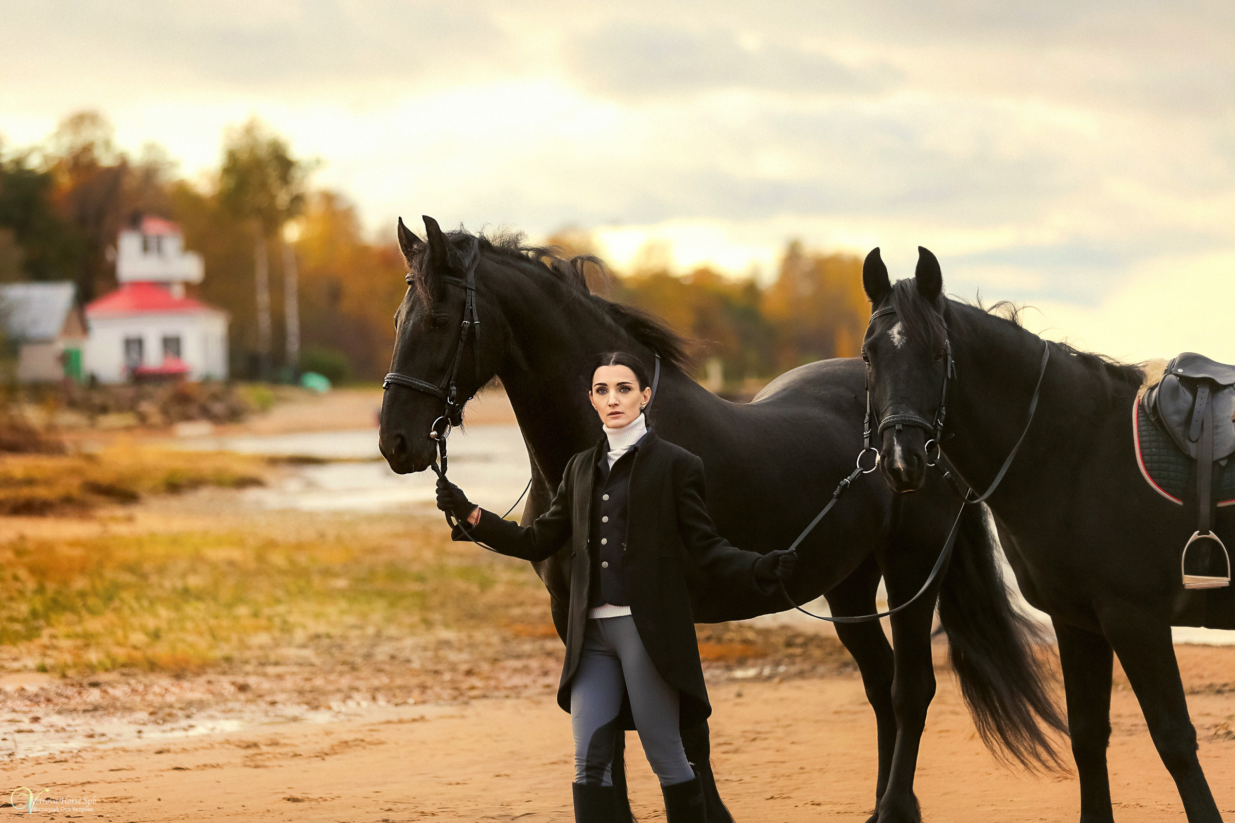 Два коня на заливе. Фотограф женский и мужской портрет Санкт-Петербург