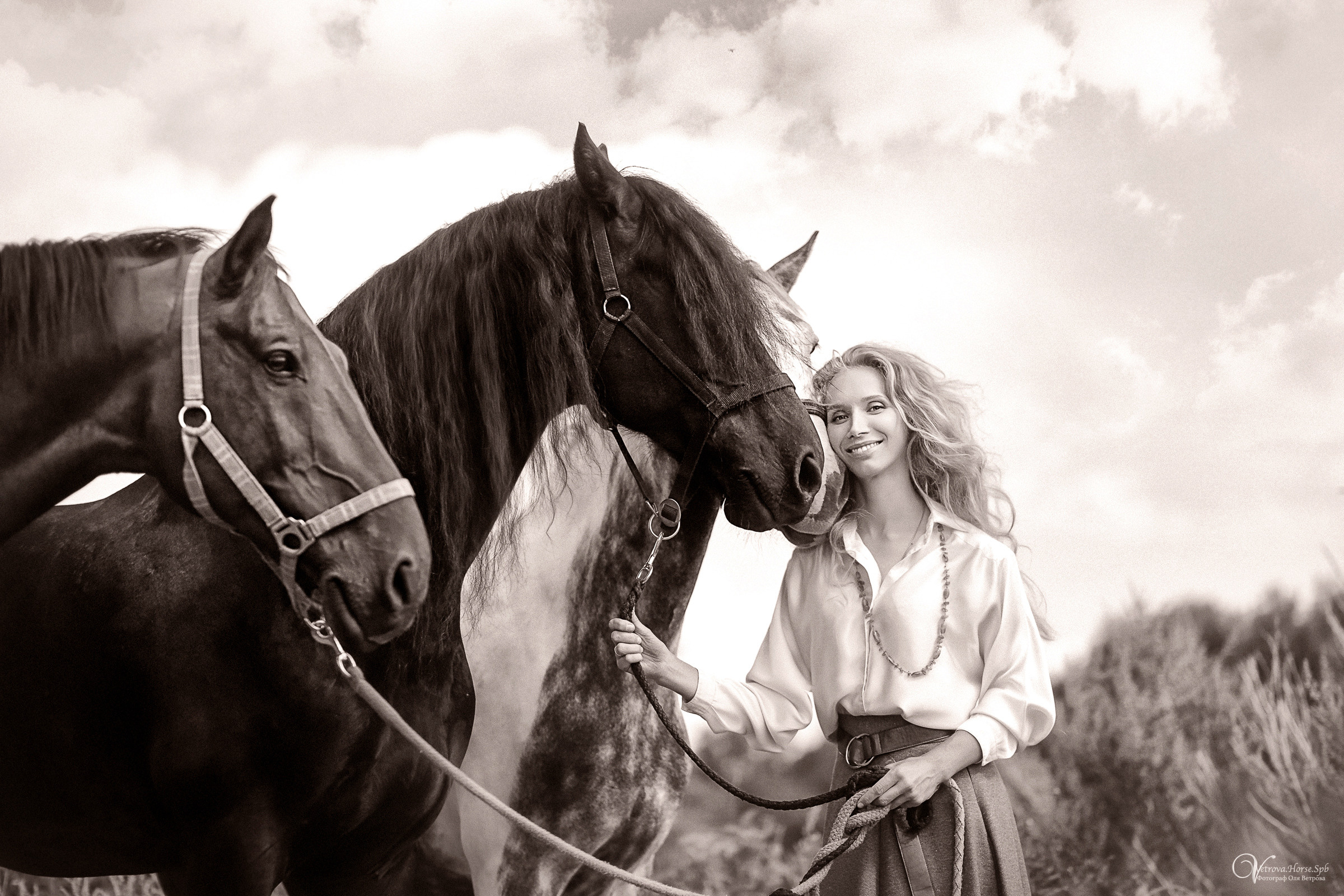 Съемка с тремя лошадьми в поле. Фотограф женский и мужской портрет Санкт-Петербург