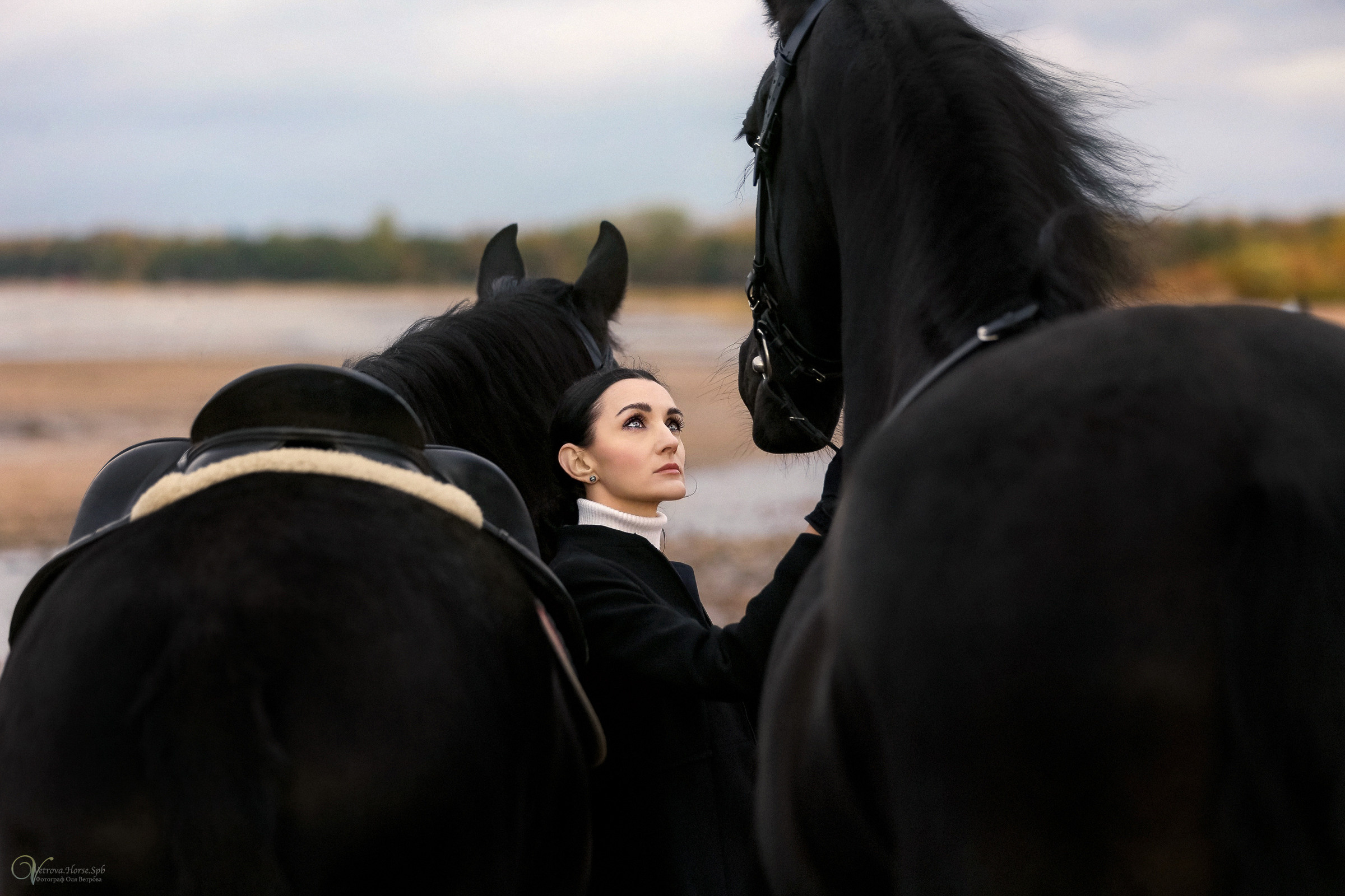 Два коня на заливе. Фотограф женский и мужской портрет Санкт-Петербург