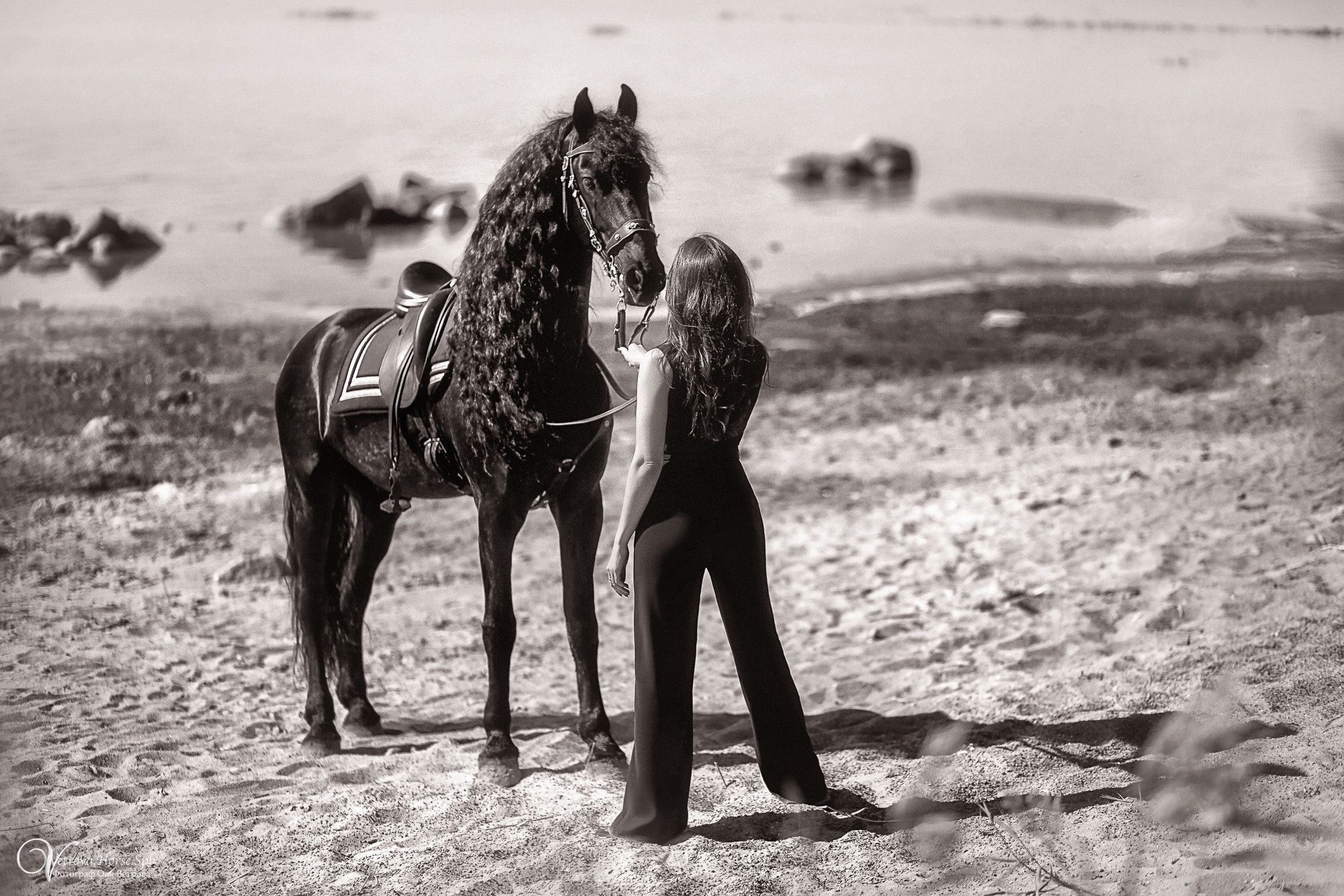 Фотосессия с фризом в СПБ. Фотограф женский и мужской портрет Санкт-Петербург