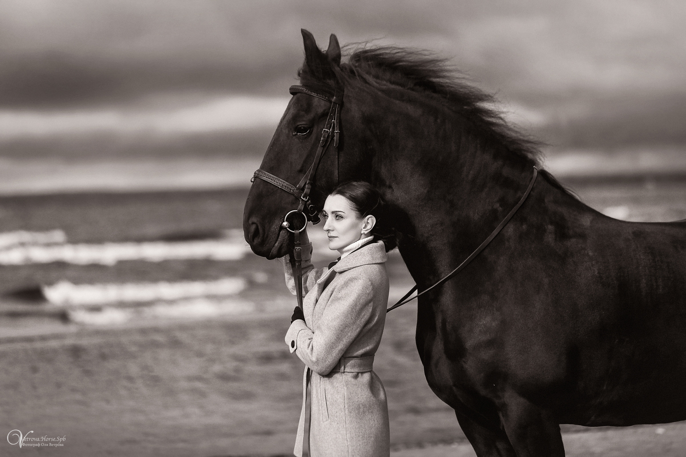 Залив  и лошади. Фотограф женский и мужской портрет Санкт-Петербург