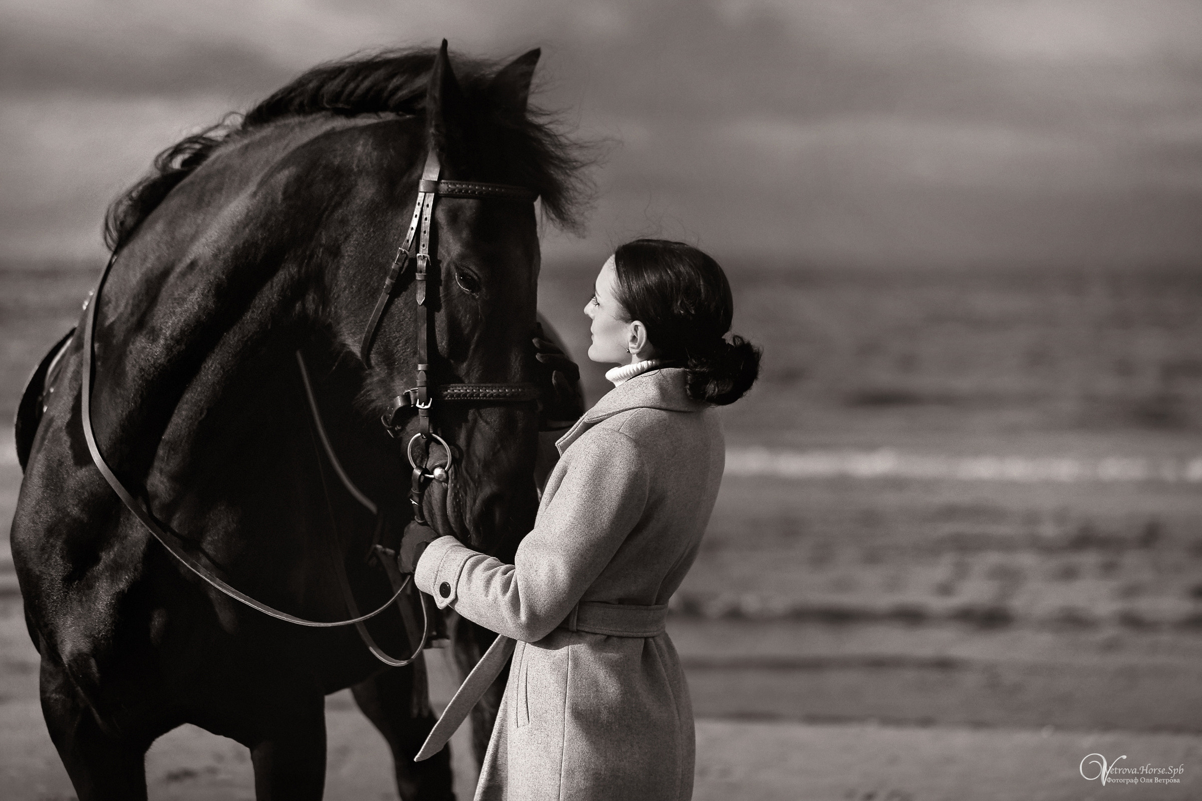 Залив  и лошади. Фотограф женский и мужской портрет Санкт-Петербург