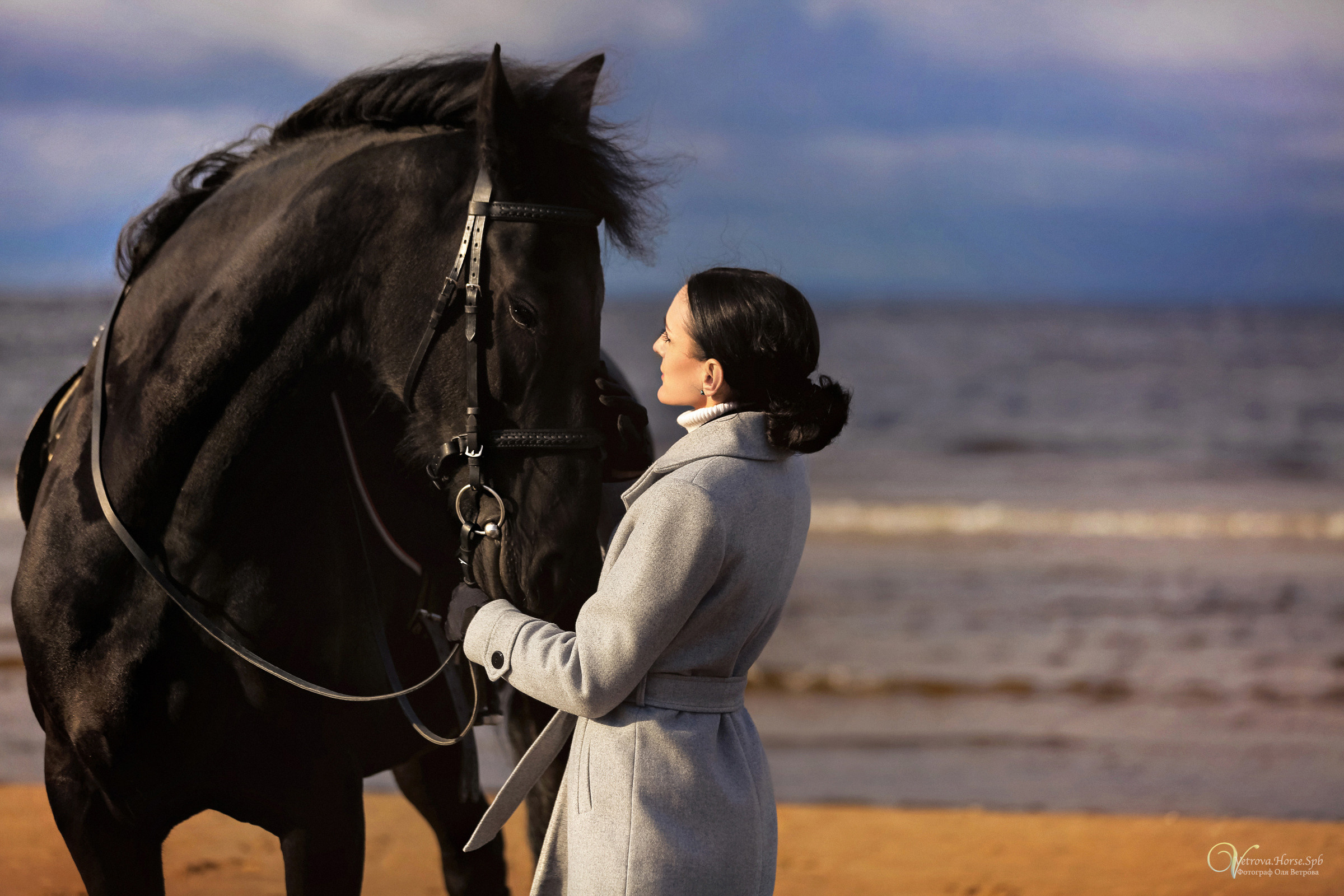 Залив  и лошади. Фотограф женский и мужской портрет Санкт-Петербург