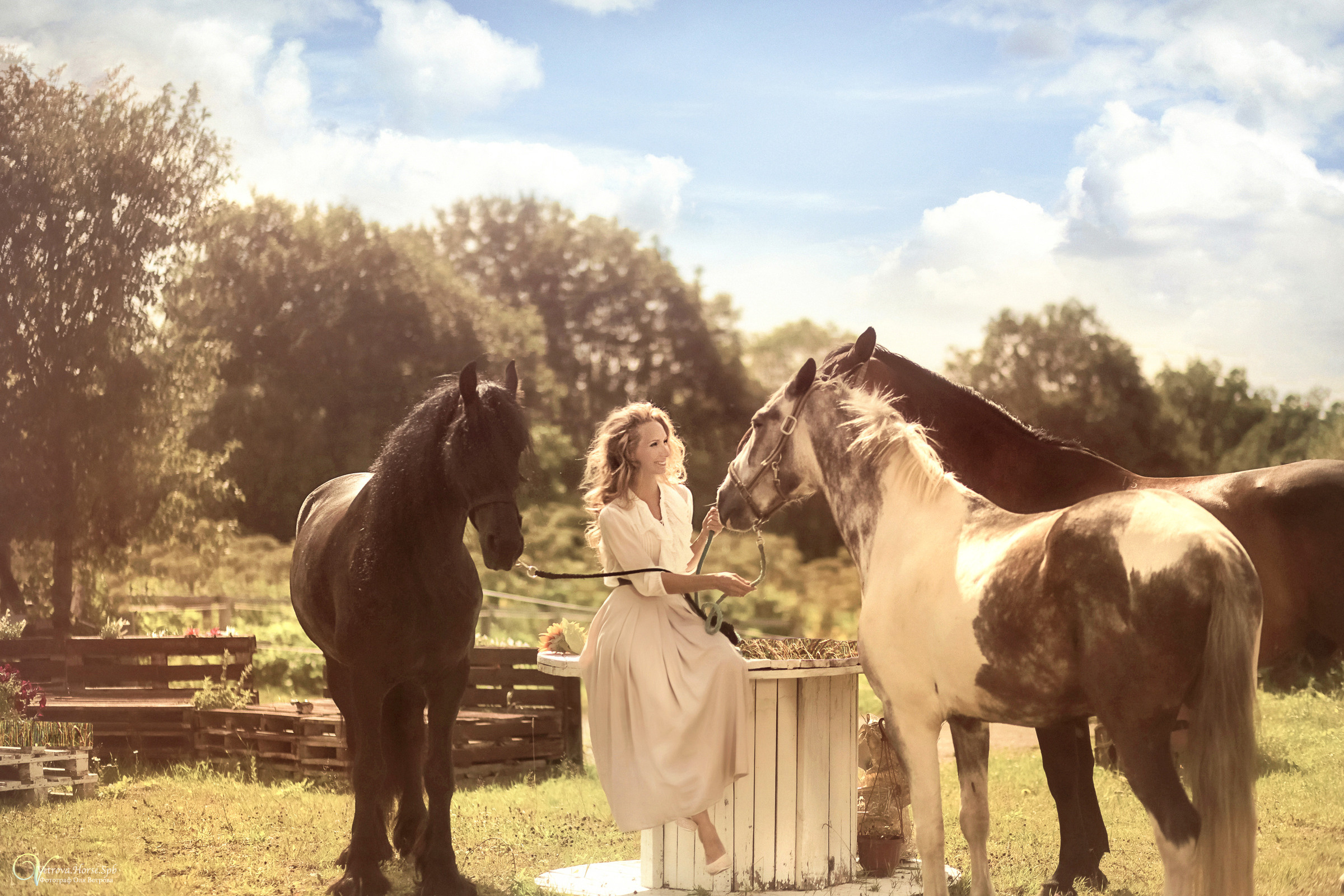 Фотосессия девушка и табун лошадей. Фотограф женский и мужской портрет Санкт-Петербург