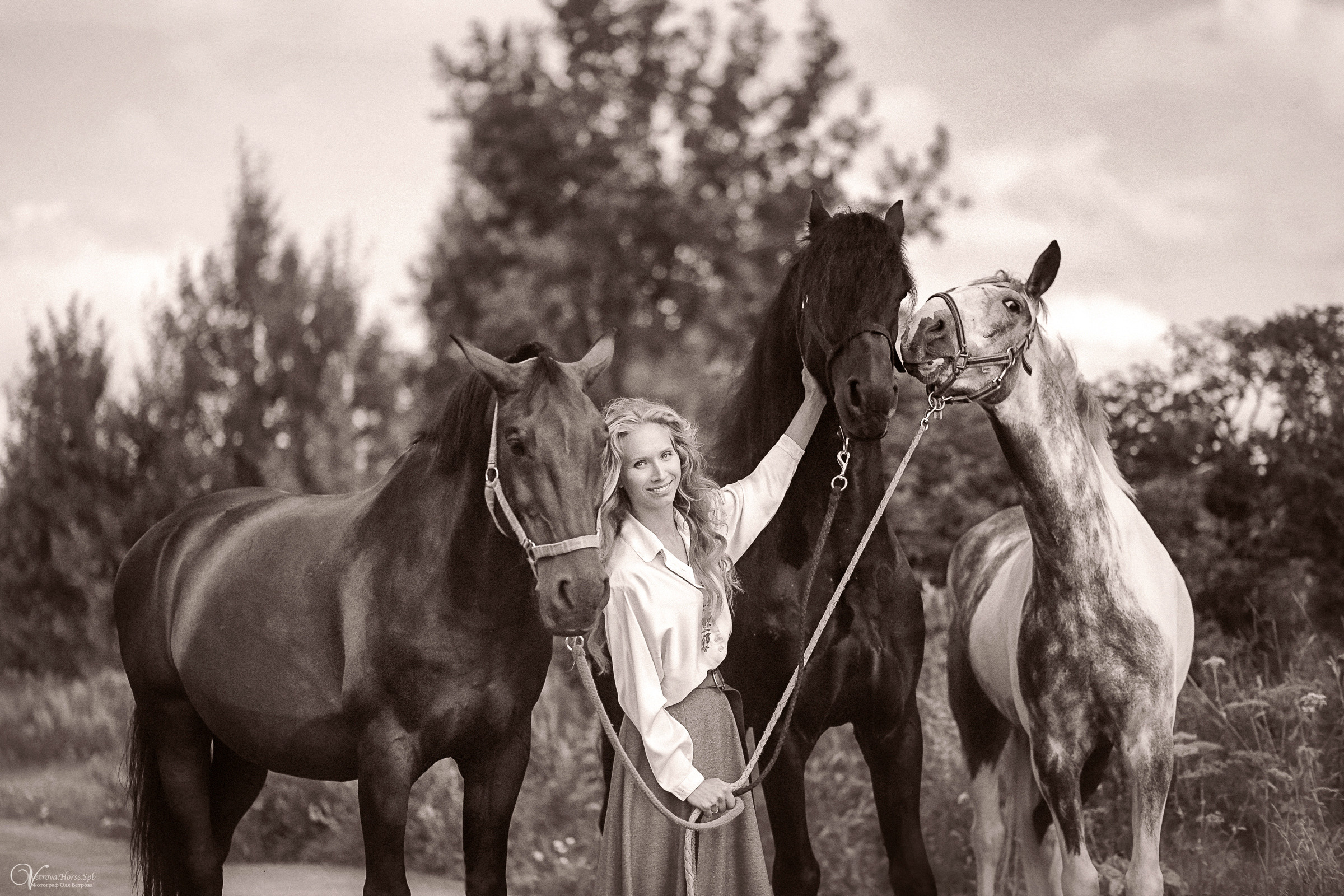 Съемка с тремя лошадьми в поле. Фотограф женский и мужской портрет Санкт-Петербург