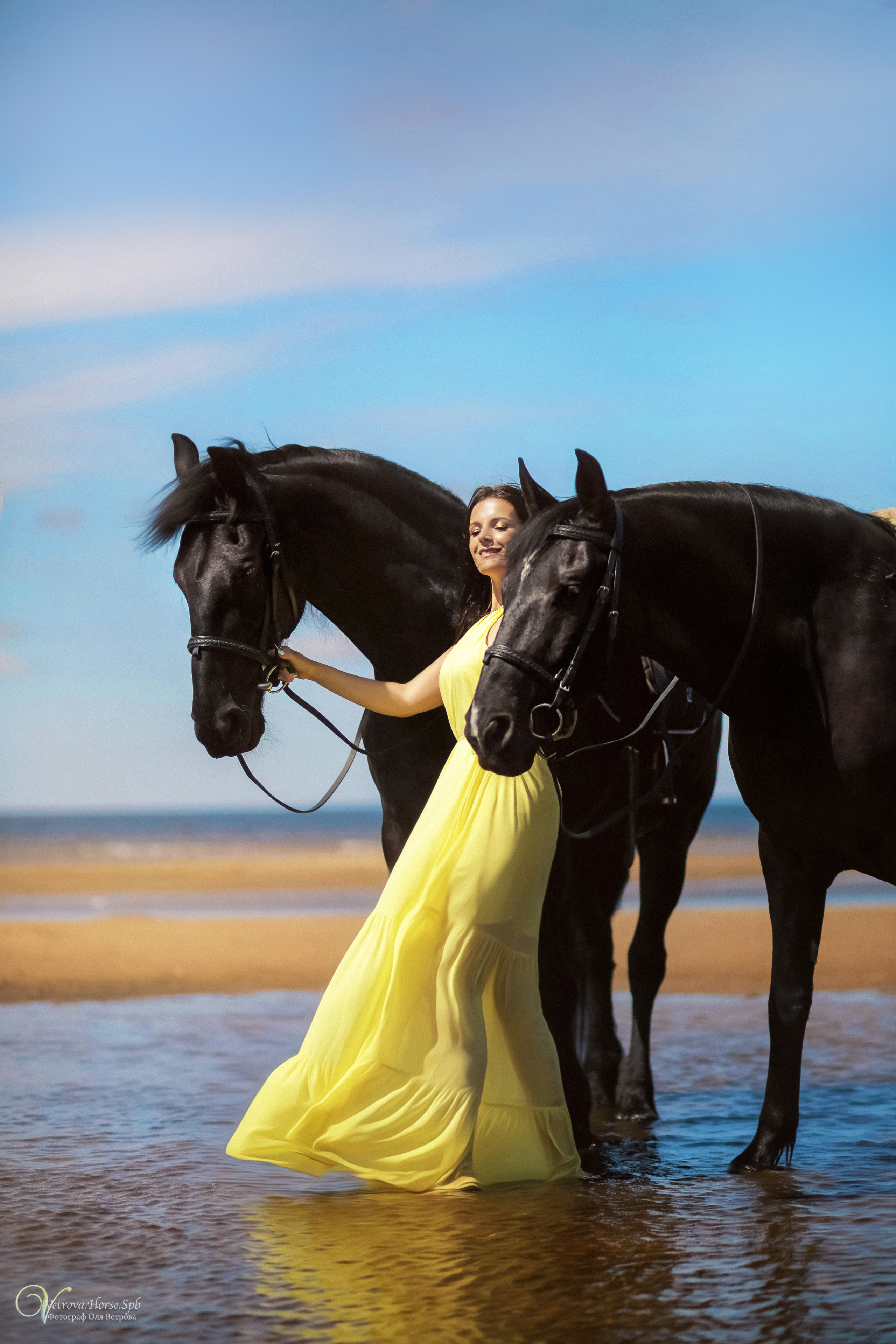 Фотосессия  с двумя конями в Санкт-Петербурге. Фотограф женский и мужской портрет Санкт-Петербург