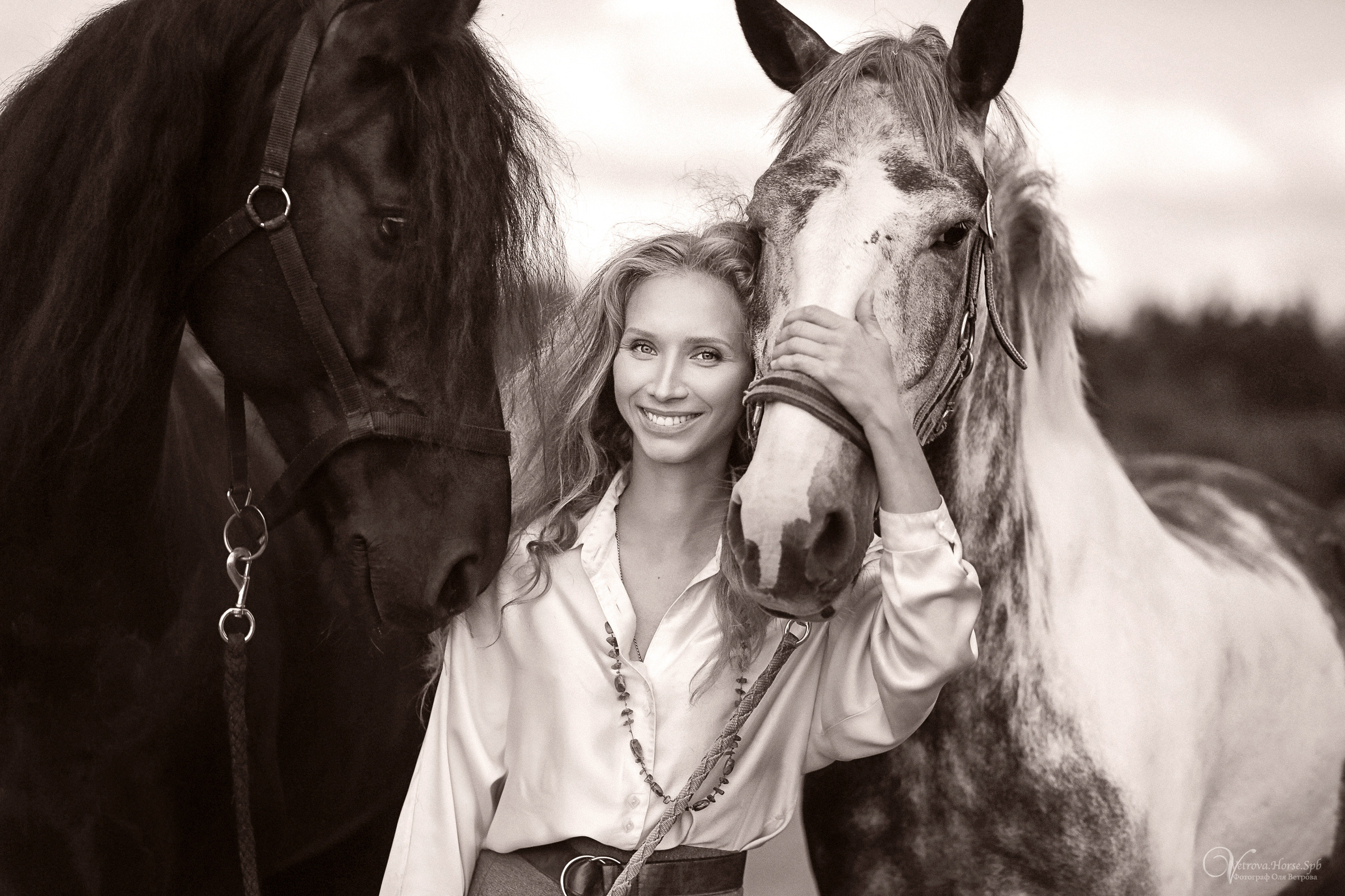 Съемка с тремя лошадьми в поле. Фотограф женский и мужской портрет Санкт-Петербург