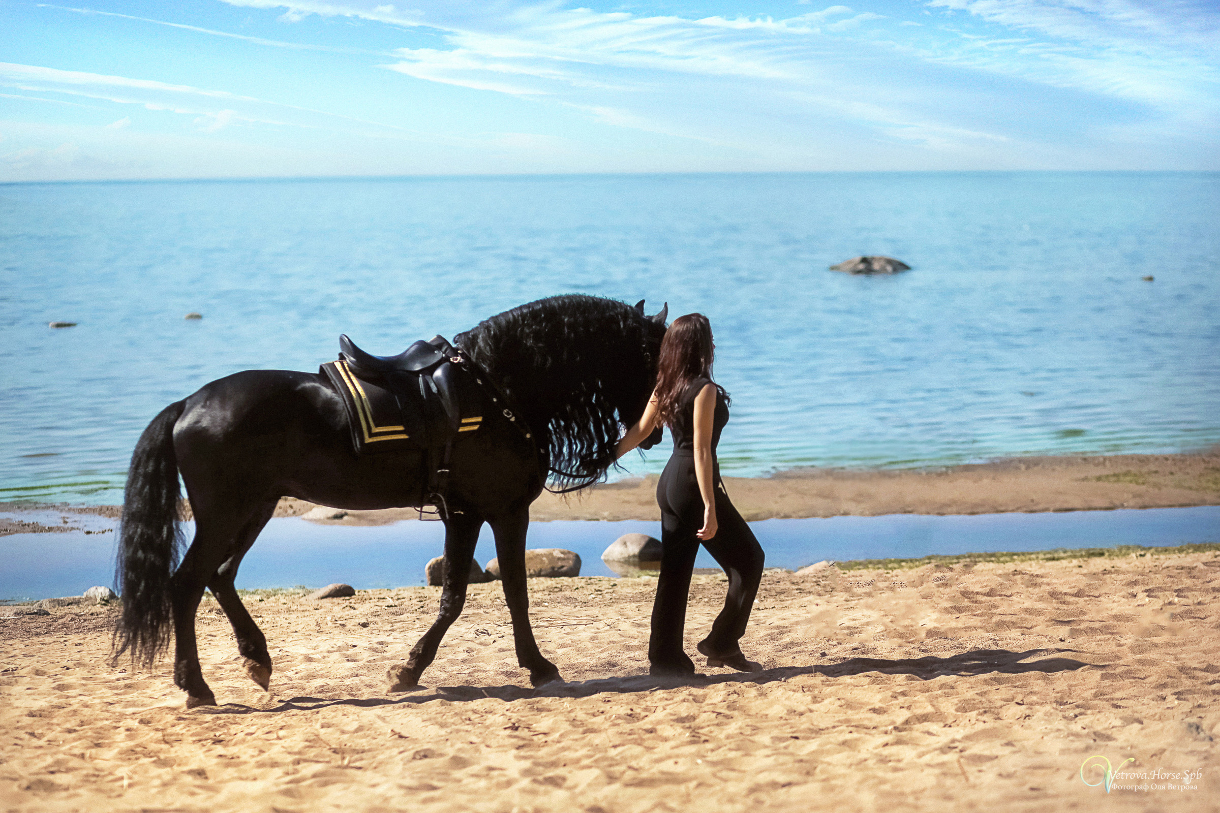 Фотосессия с фризом в СПБ. Фотограф женский и мужской портрет Санкт-Петербург