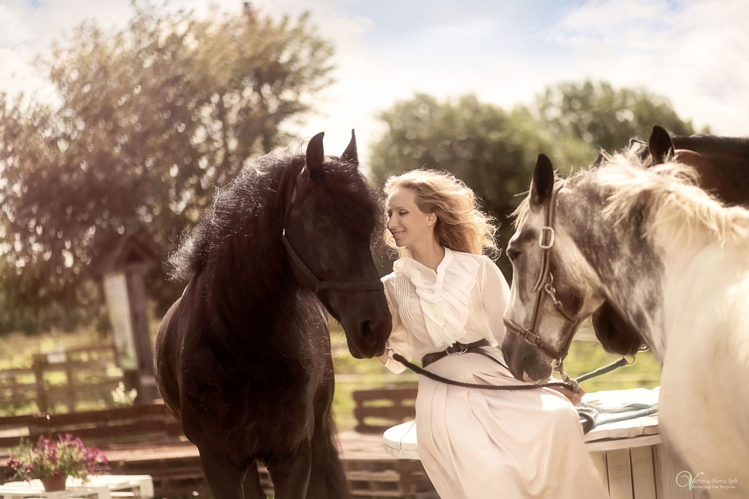 Фотосессия девушка и табун лошадей. Фотограф женский и мужской портрет Санкт-Петербург