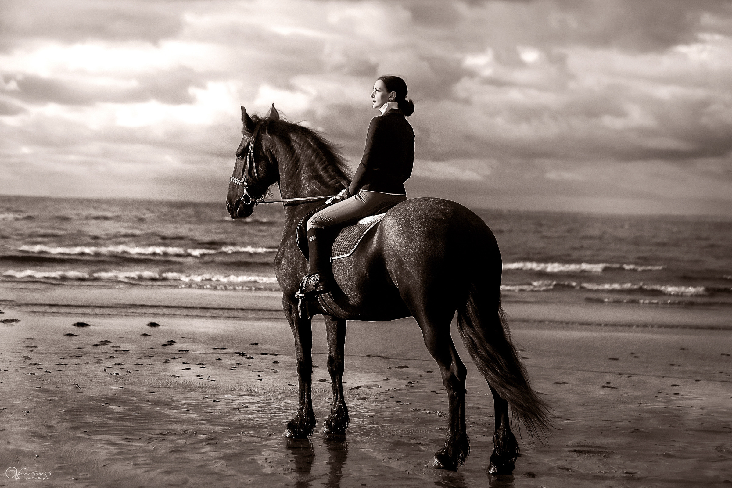 Осенняя съемка с лошадью В СПБ. Фотограф женский и мужской портрет Санкт-Петербург