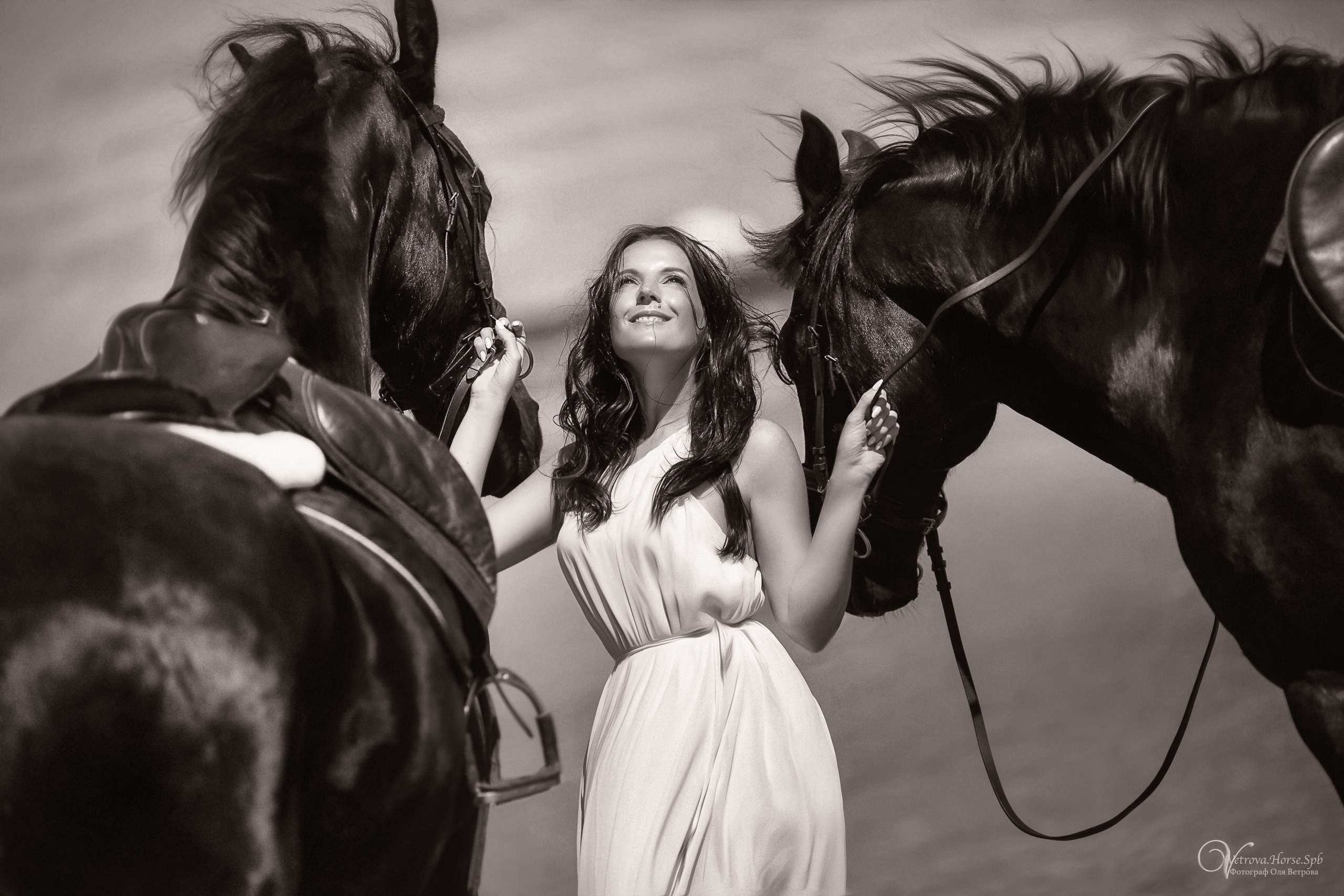 Фотосессия  с двумя конями в Санкт-Петербурге. Фотограф женский и мужской портрет Санкт-Петербург