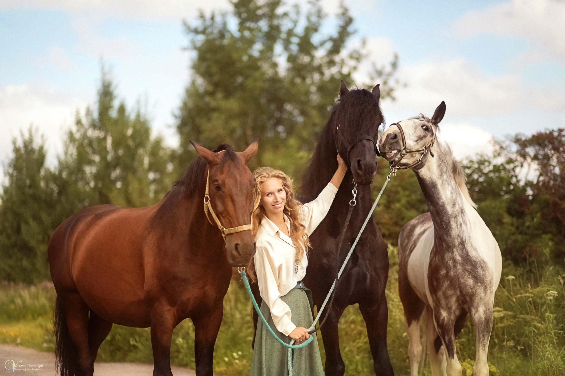 Съемка с тремя лошадьми в поле. Фотограф женский и мужской портрет Санкт-Петербург
