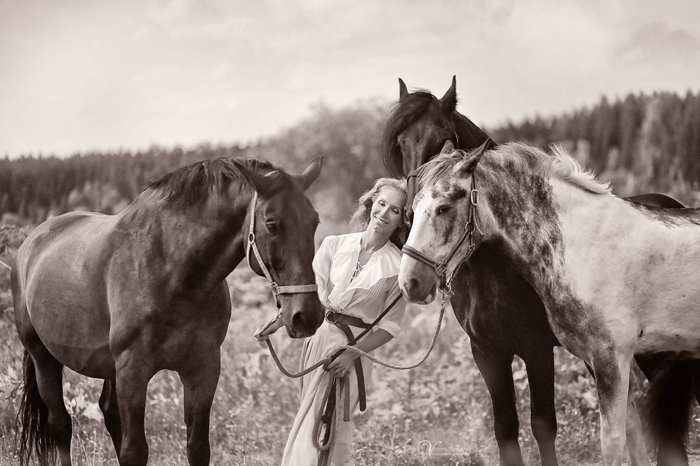 Съемка с тремя лошадьми в поле. Фотограф женский и мужской портрет Санкт-Петербург