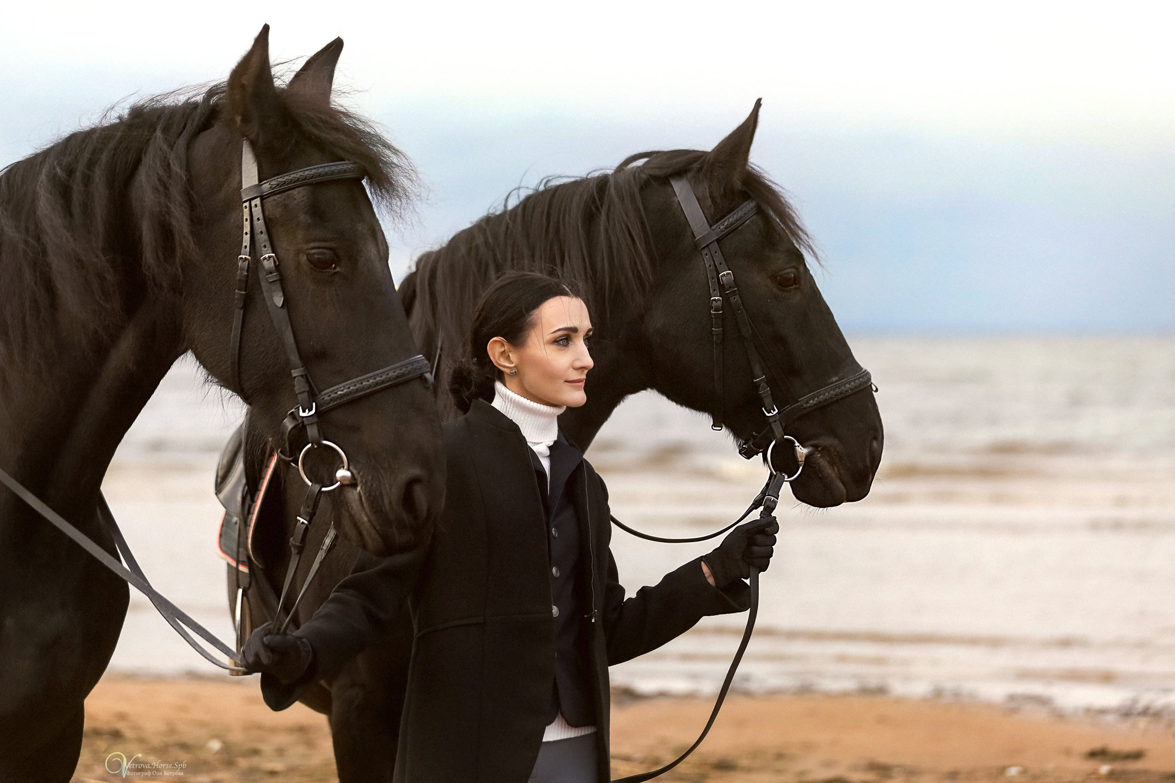 Два коня на заливе. Фотограф женский и мужской портрет Санкт-Петербург