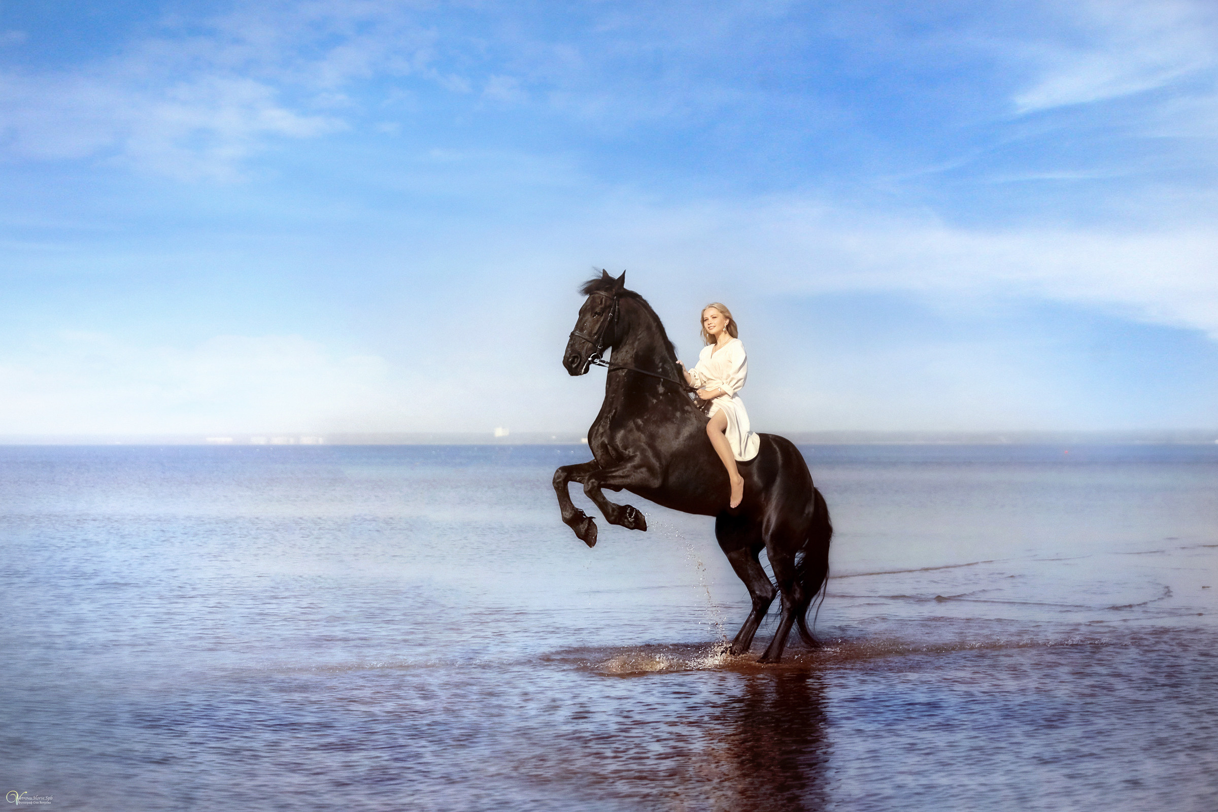 Фотосессия с вороным конем в СПб. Фотограф женский и мужской портрет Санкт-Петербург