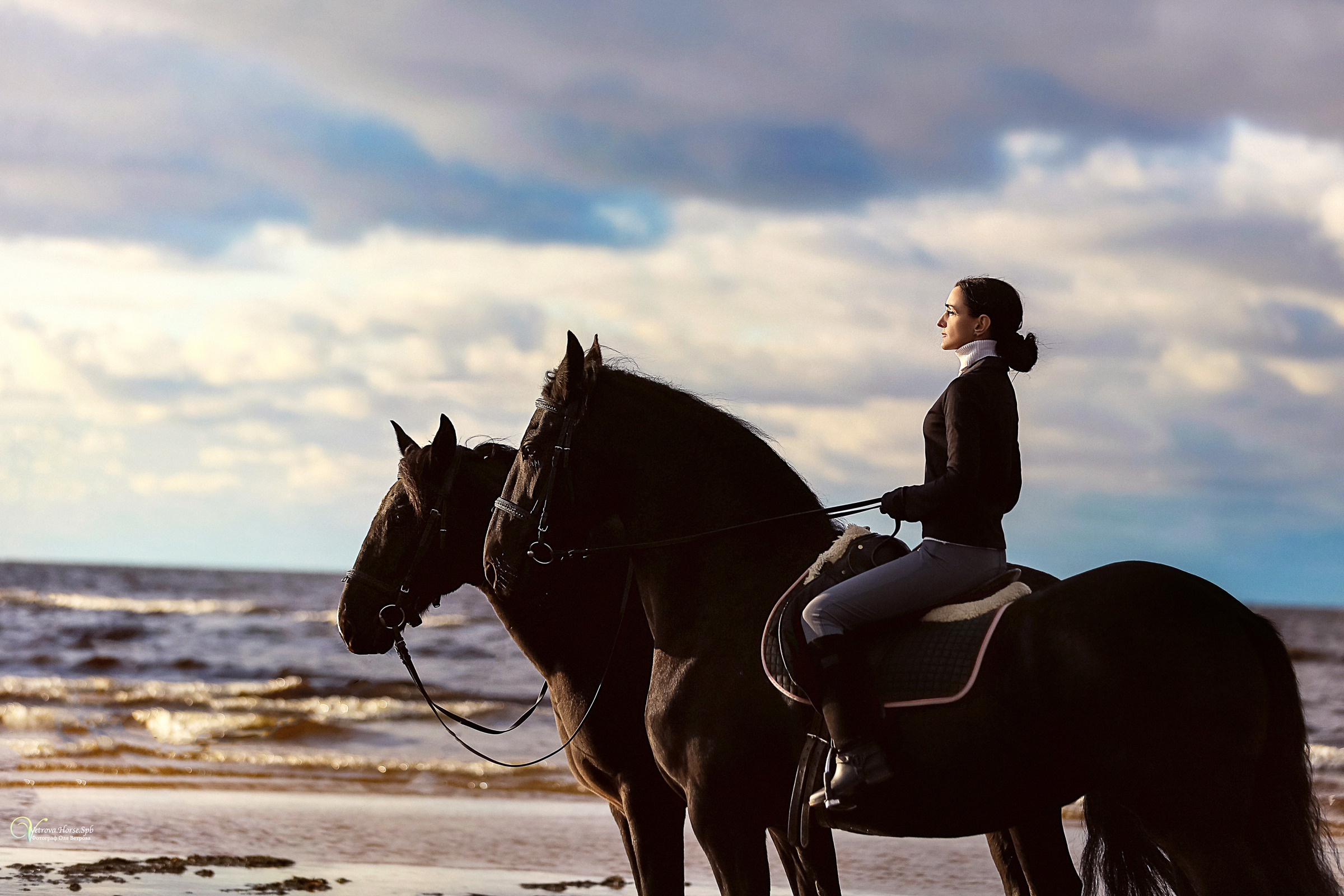 Два коня на заливе. Фотограф женский и мужской портрет Санкт-Петербург