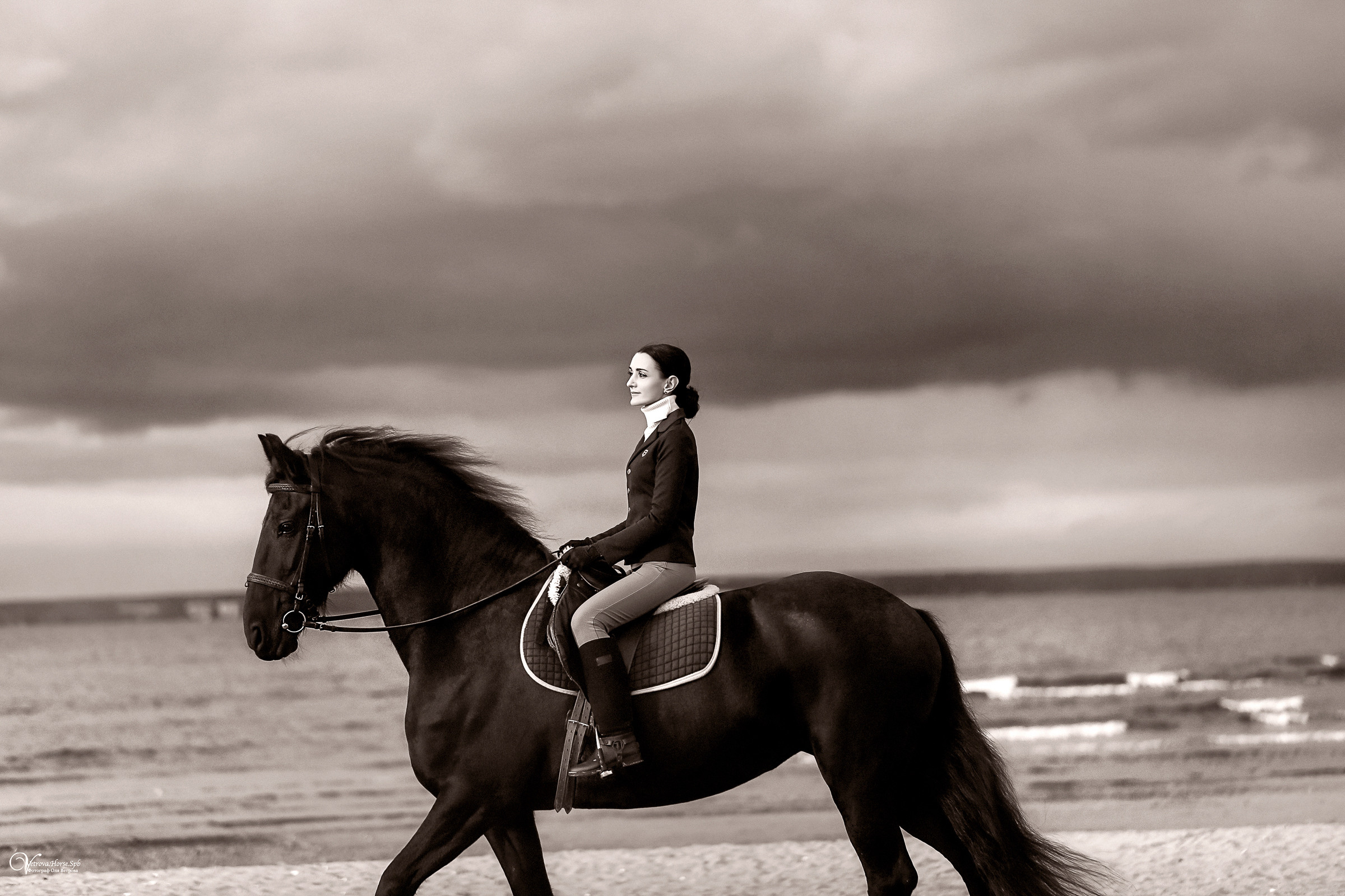 Осенняя съемка с лошадью В СПБ. Фотограф женский и мужской портрет Санкт-Петербург