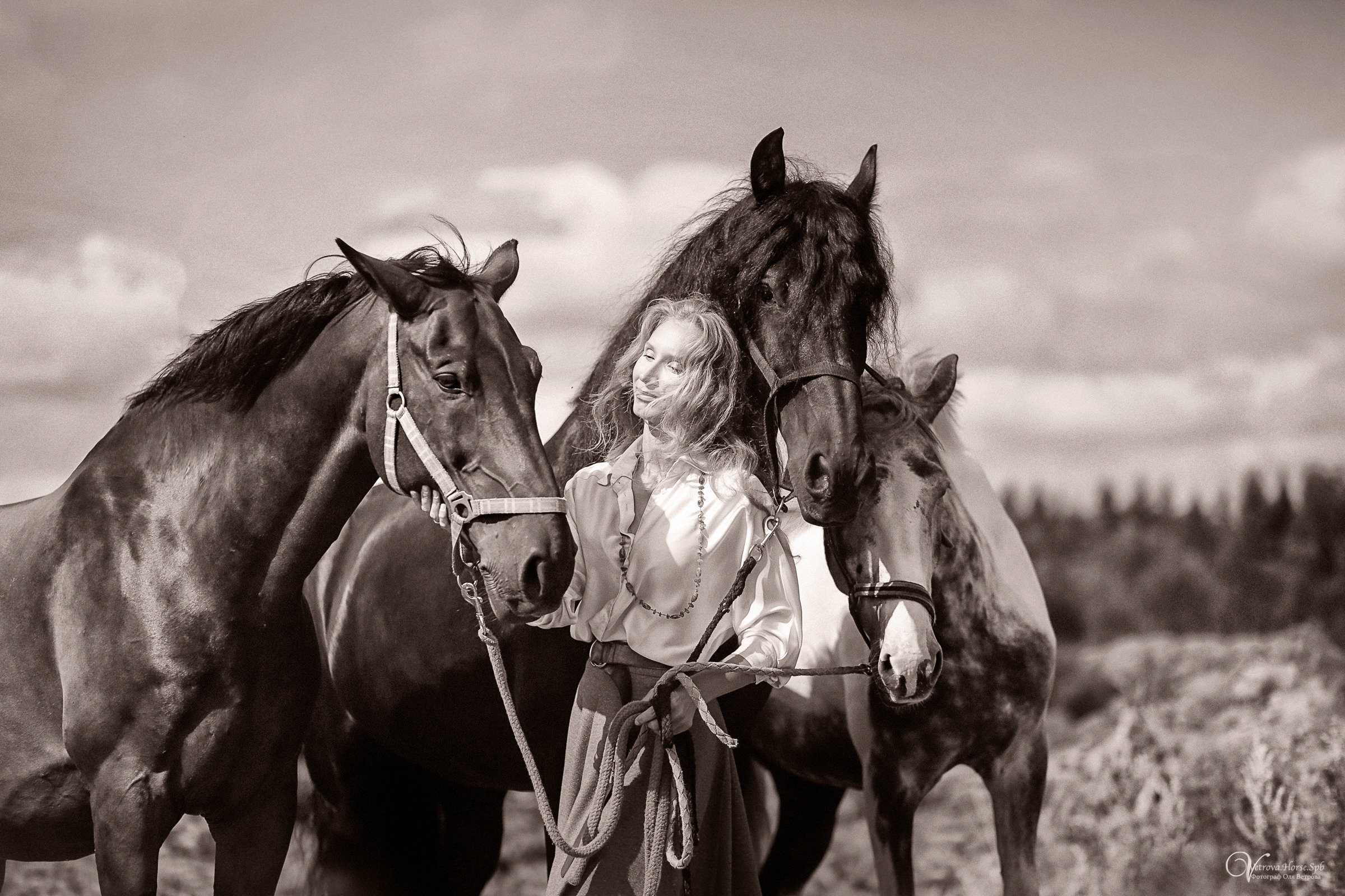 Съемка с тремя лошадьми в поле. Фотограф женский и мужской портрет Санкт-Петербург