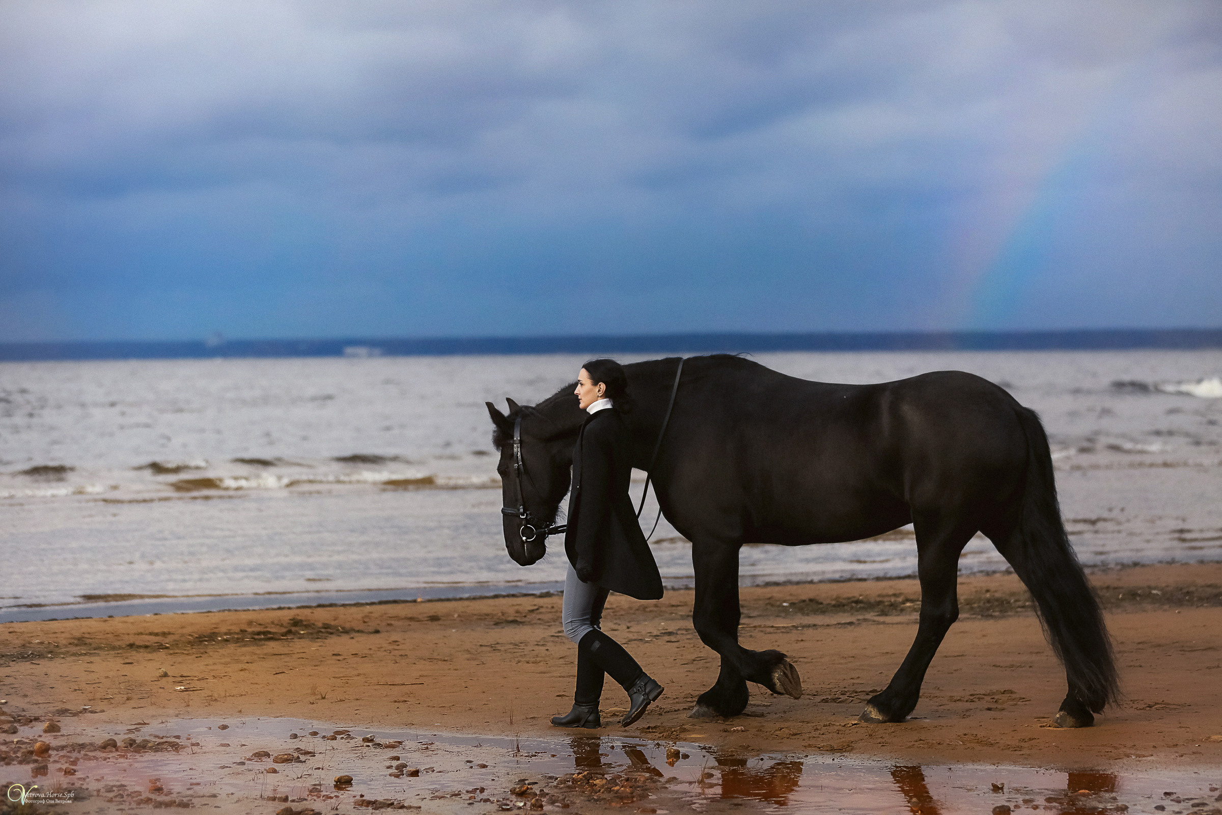 Фотосессия на заливе в двумя лошадьми СПб. Фотограф женский и мужской портрет Санкт-Петербург