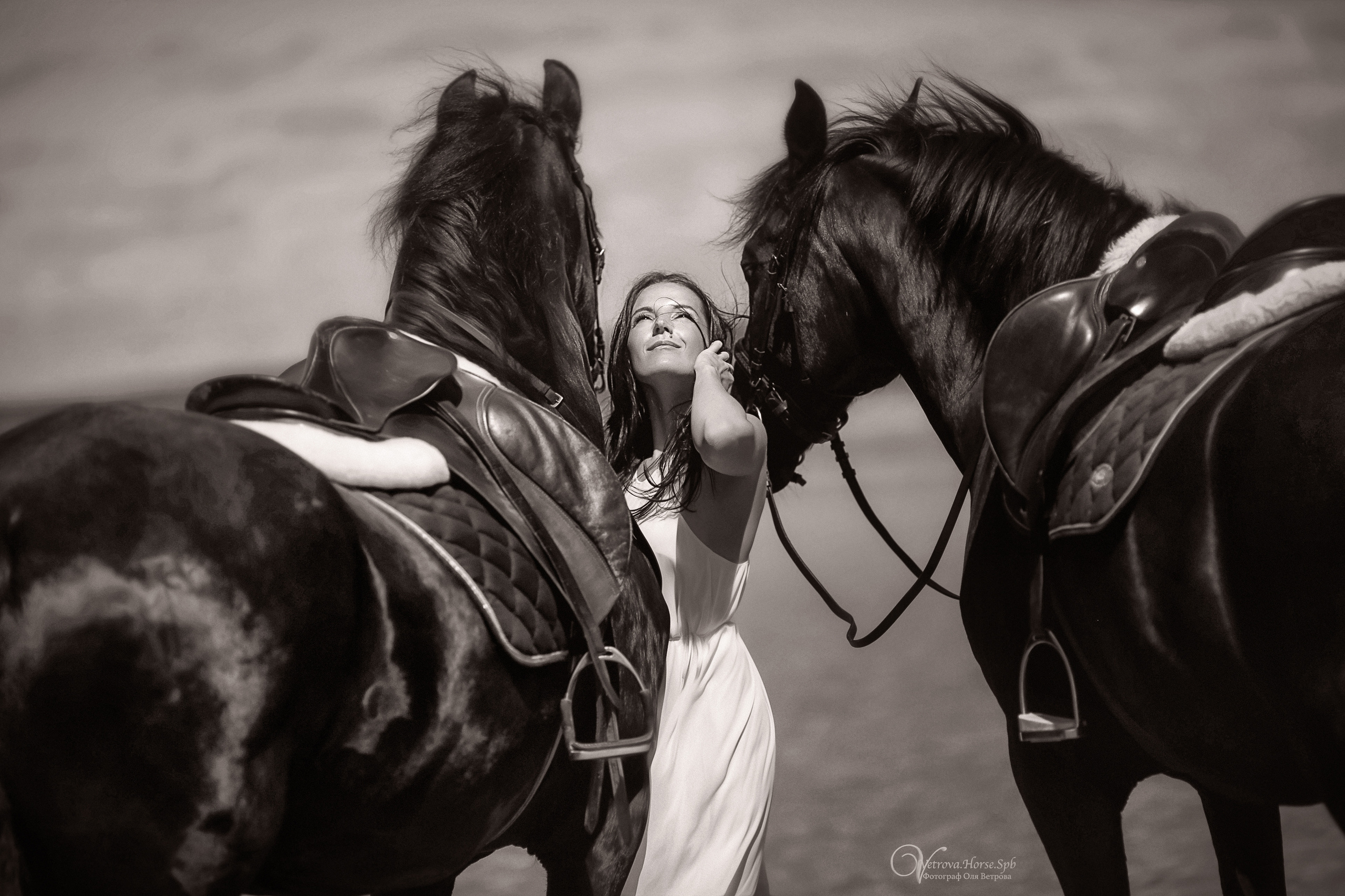Фотосессия  с двумя конями в Санкт-Петербурге. Фотограф женский и мужской портрет Санкт-Петербург