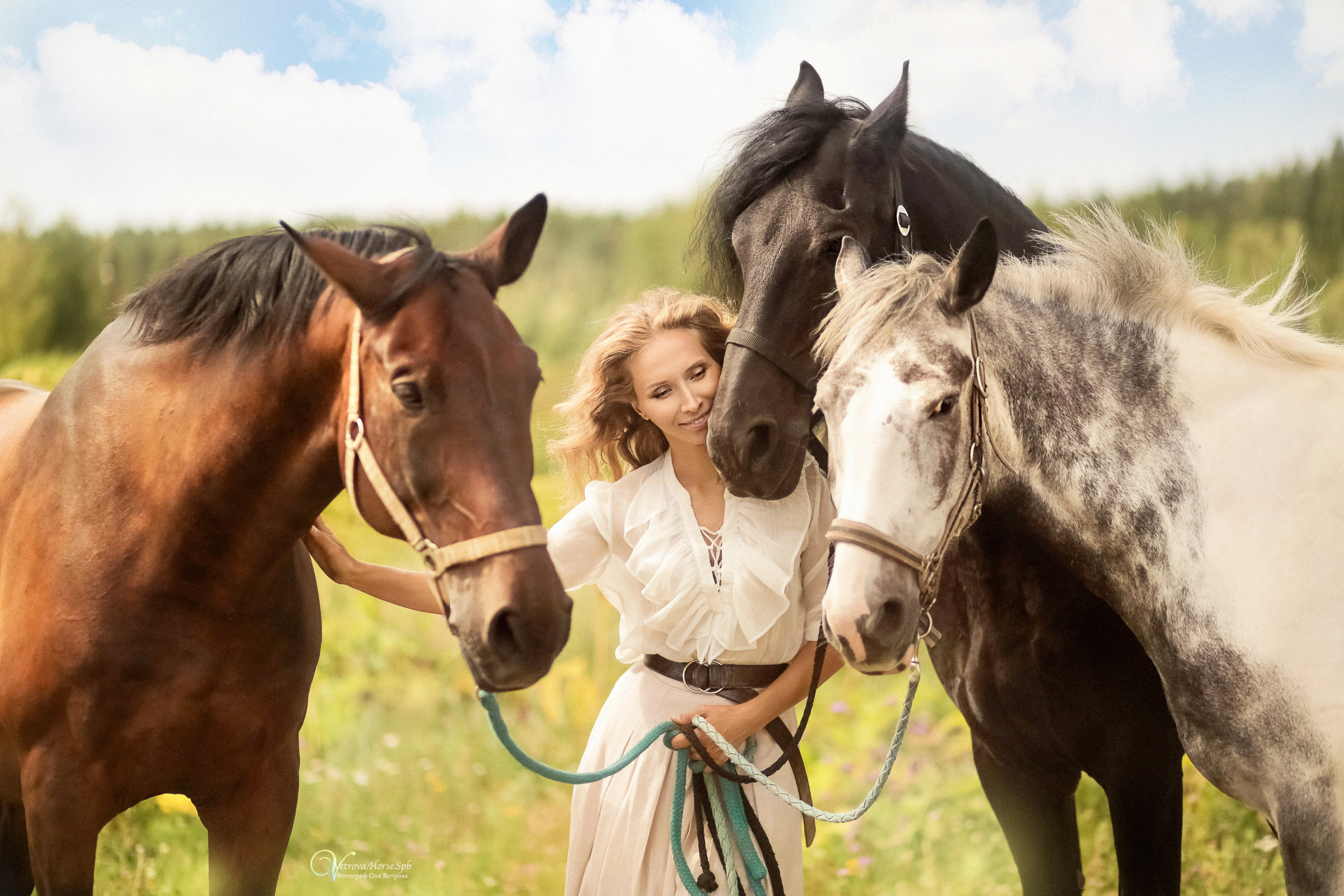 Съемка с тремя лошадьми в поле. Фотограф женский и мужской портрет Санкт-Петербург