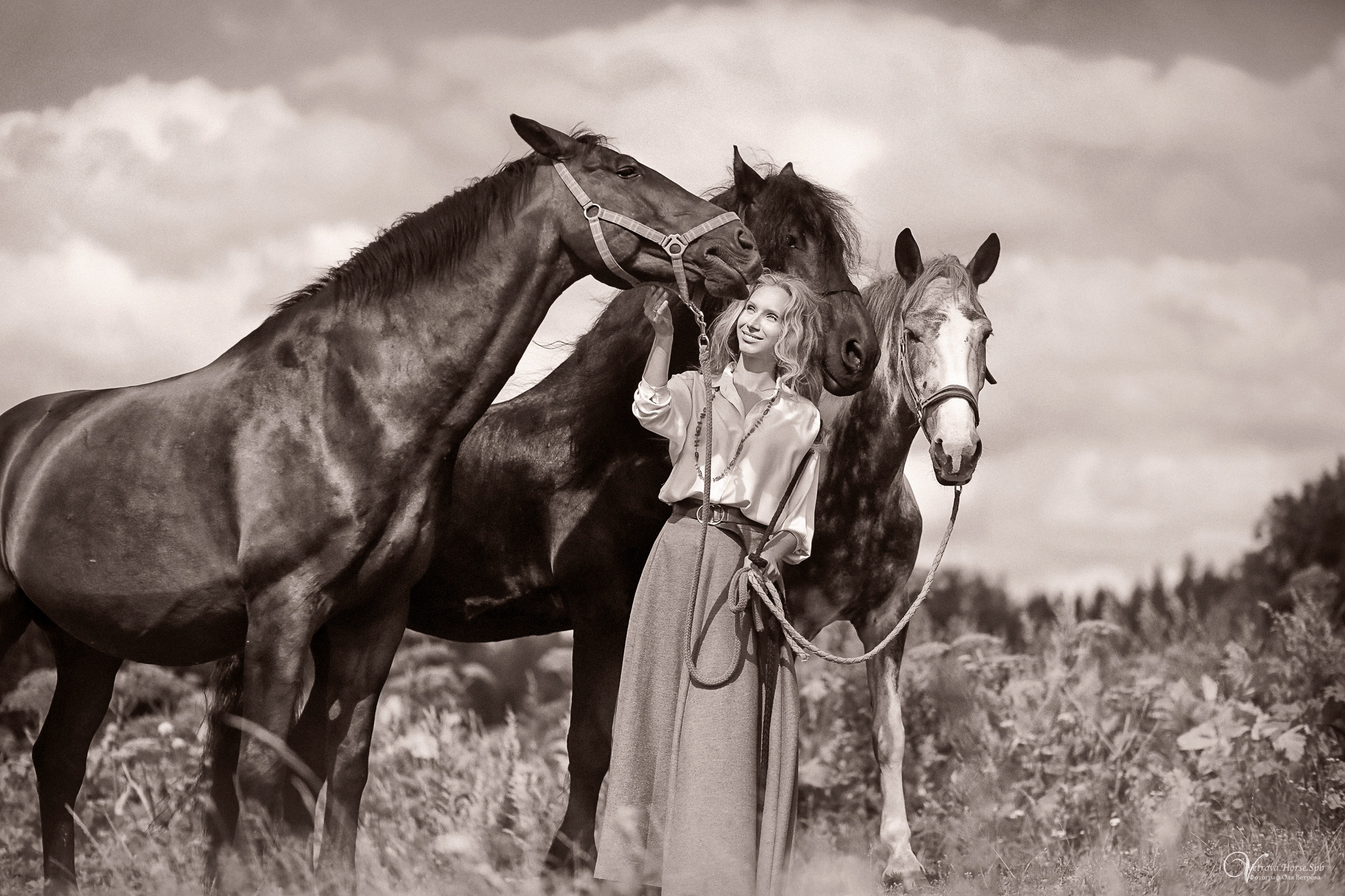 Съемка с тремя лошадьми в поле. Фотограф женский и мужской портрет Санкт-Петербург
