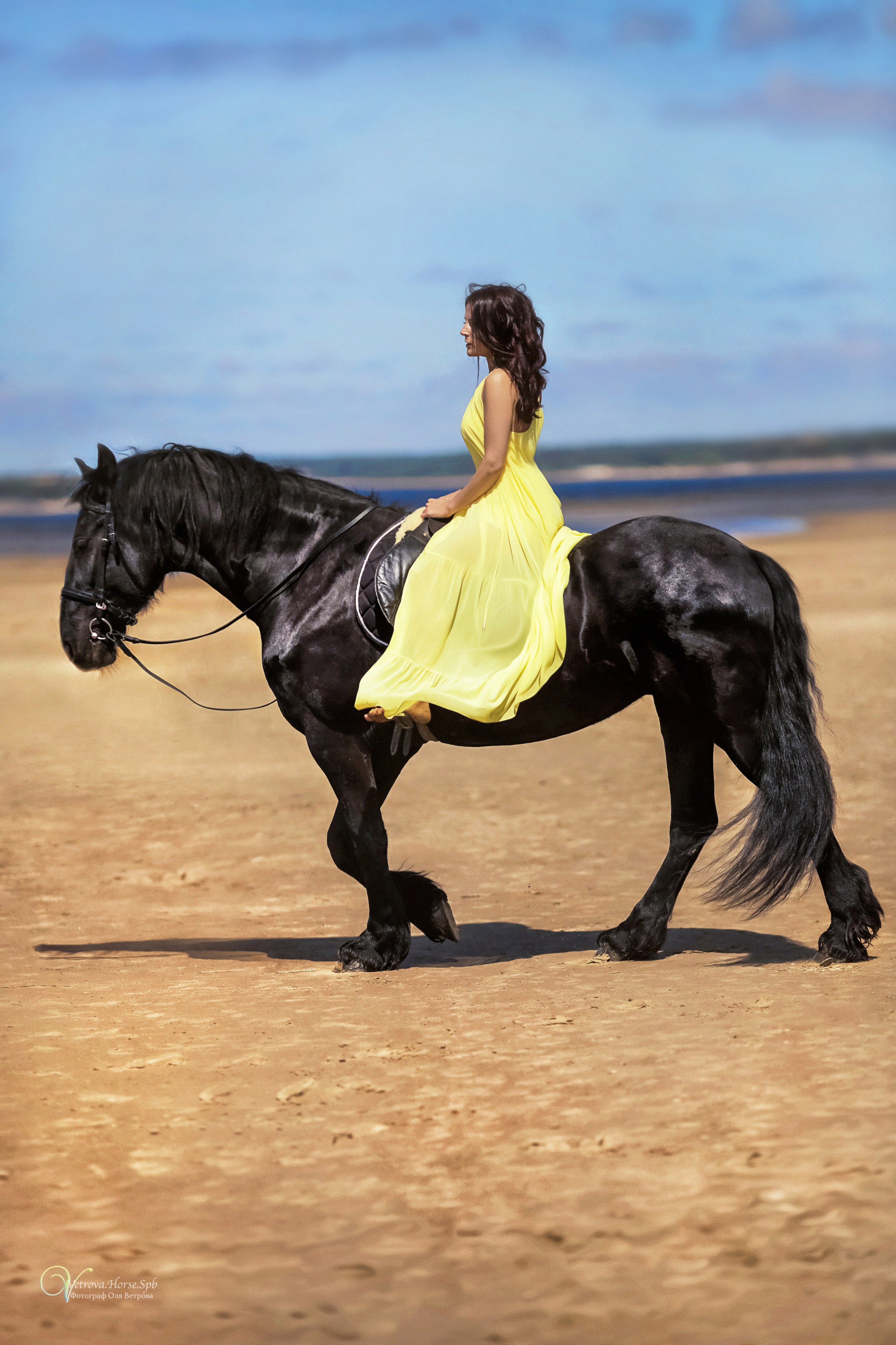 Фотосессия  с двумя конями в Санкт-Петербурге. Фотограф женский и мужской портрет Санкт-Петербург