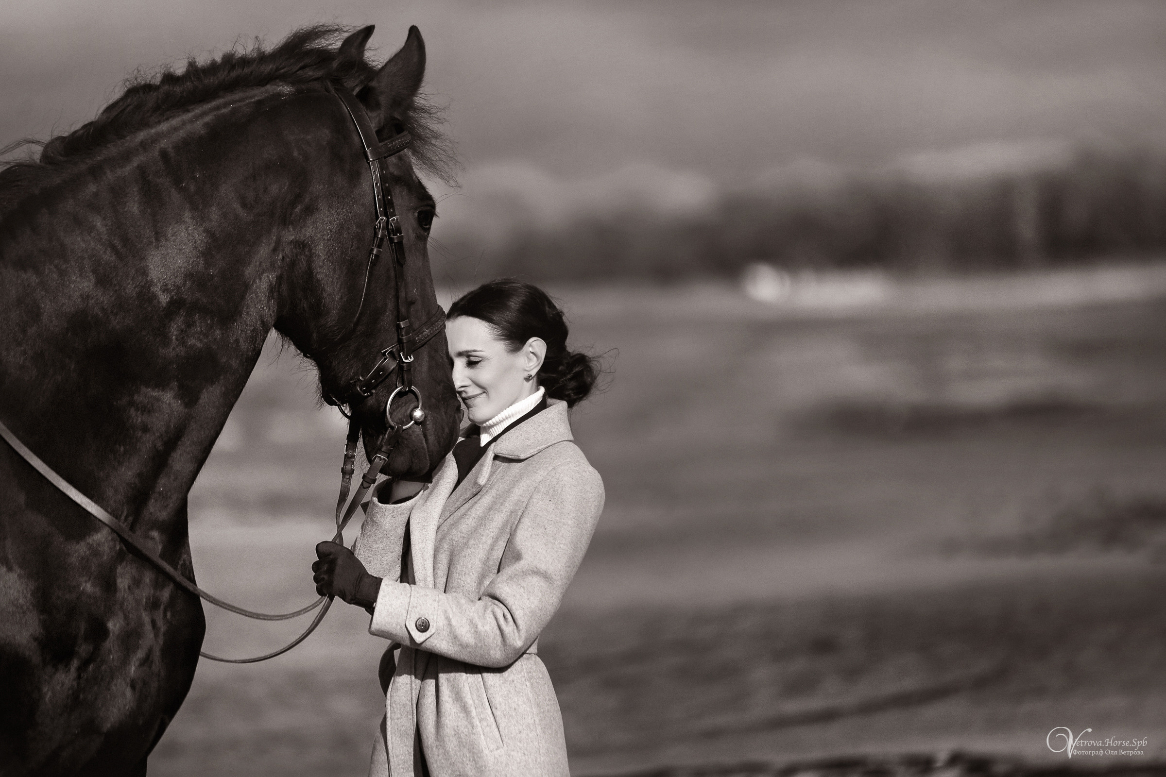 Залив  и лошади. Фотограф женский и мужской портрет Санкт-Петербург