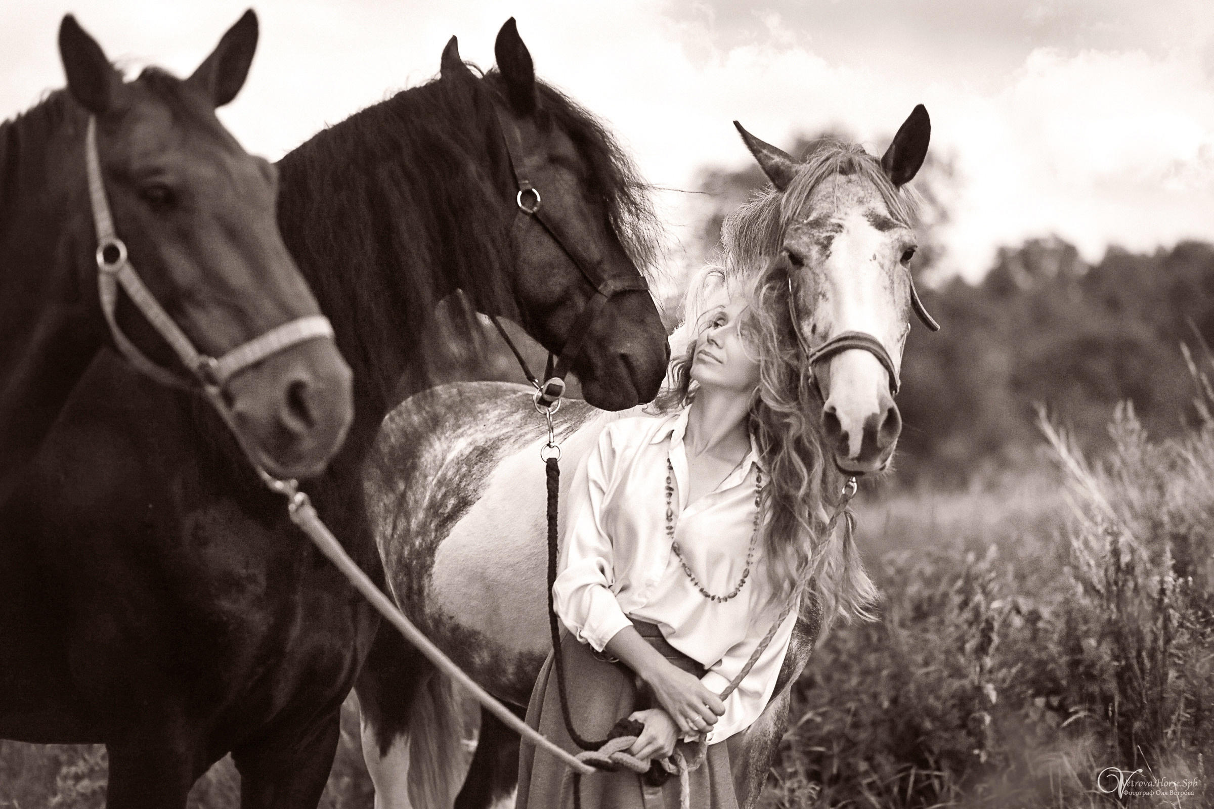 Съемка с тремя лошадьми в поле. Фотограф женский и мужской портрет Санкт-Петербург