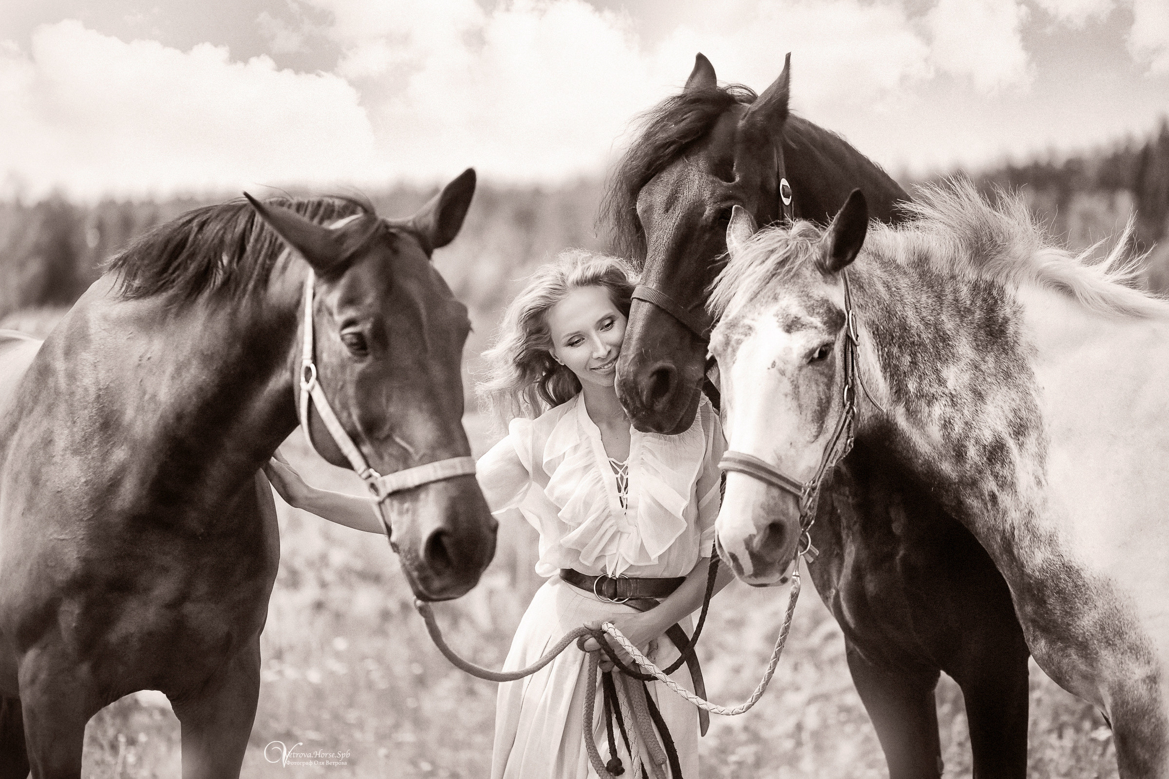 Съемка с тремя лошадьми в поле. Фотограф женский и мужской портрет Санкт-Петербург