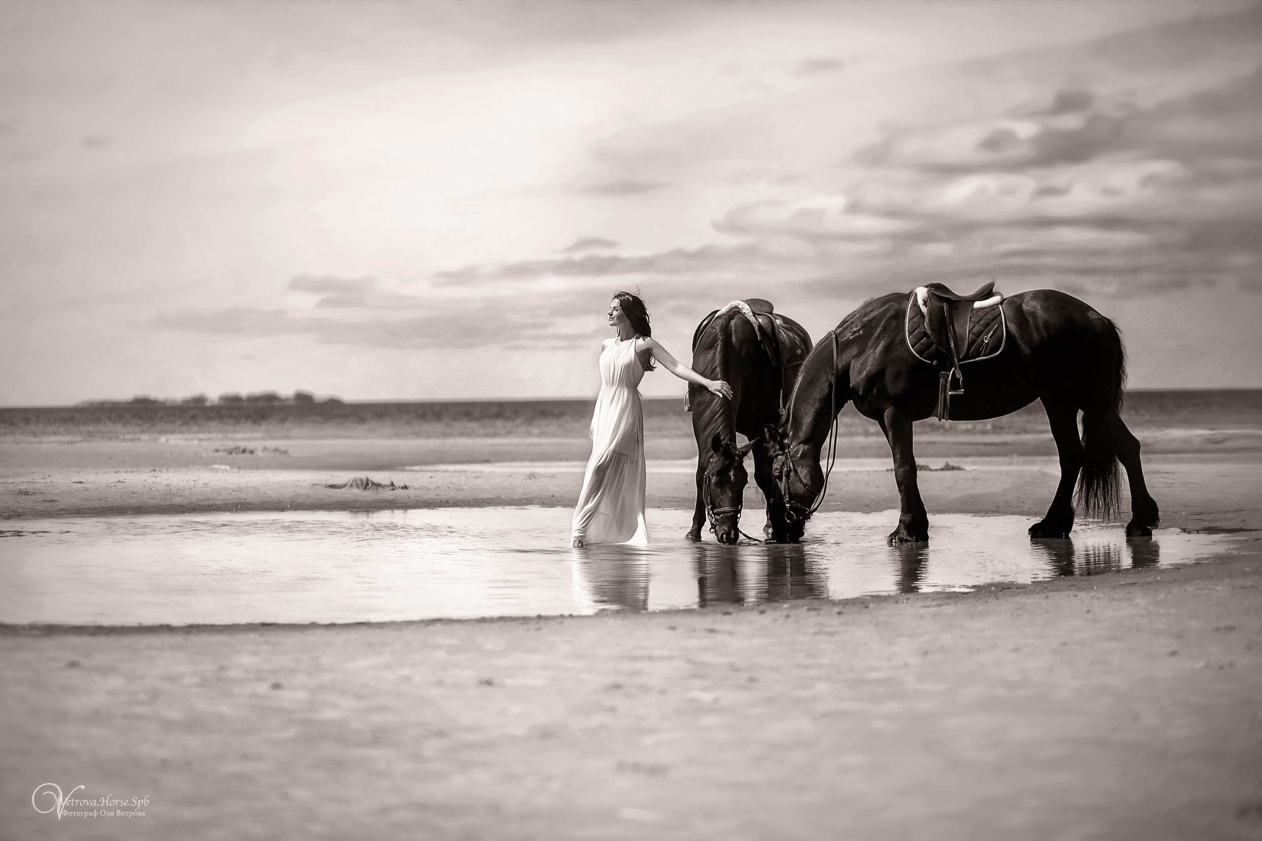Фотосессия  с двумя конями в Санкт-Петербурге. Фотограф женский и мужской портрет Санкт-Петербург