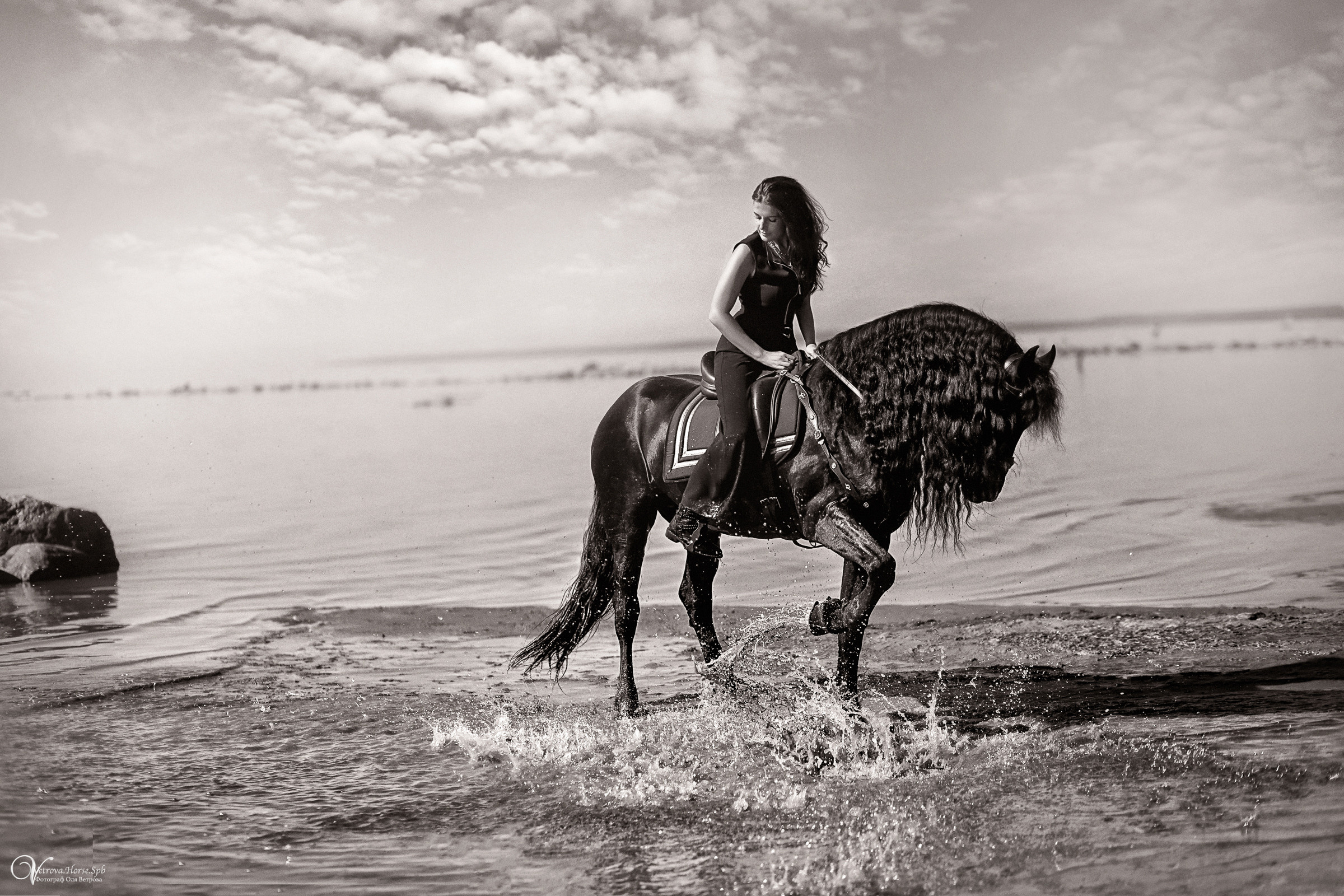 Фотосессия с фризом в СПБ. Фотограф женский и мужской портрет Санкт-Петербург