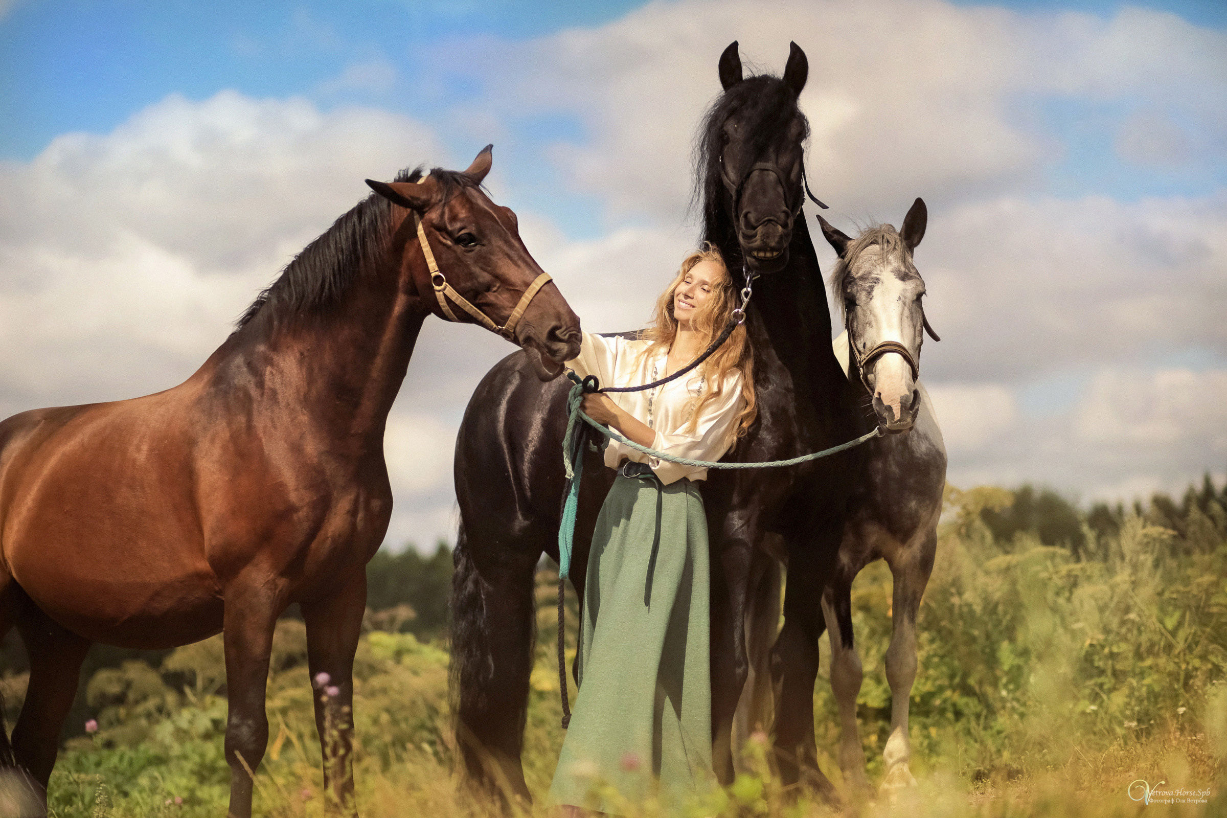 Съемка с тремя лошадьми в поле. Фотограф женский и мужской портрет Санкт-Петербург