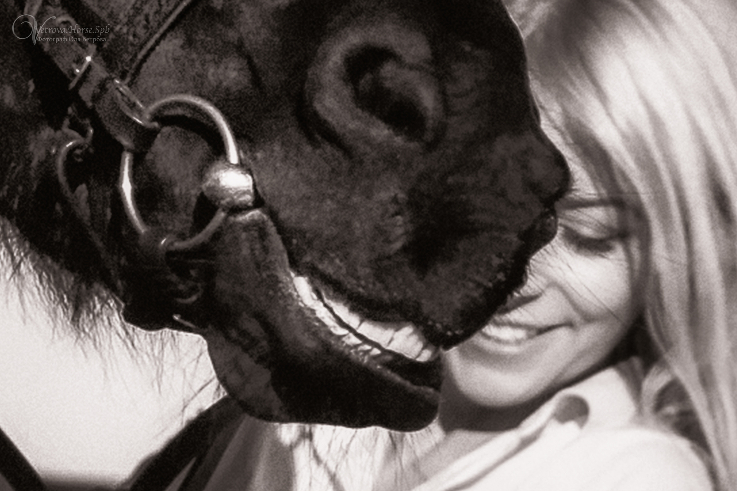 Съемка с лошадью на водопаде. Фотограф женский и мужской портрет Санкт-Петербург