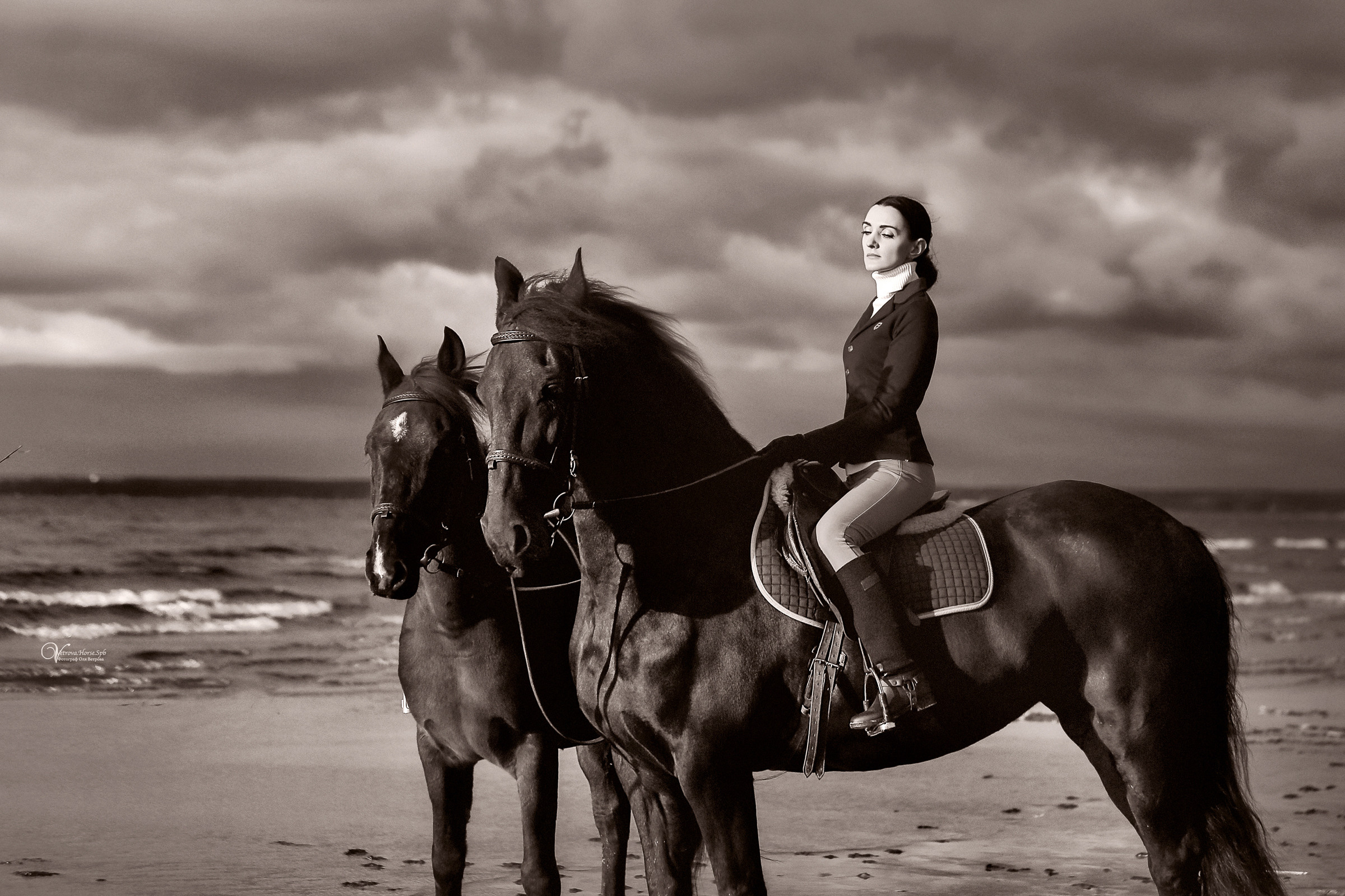 Два коня на заливе. Фотограф женский и мужской портрет Санкт-Петербург