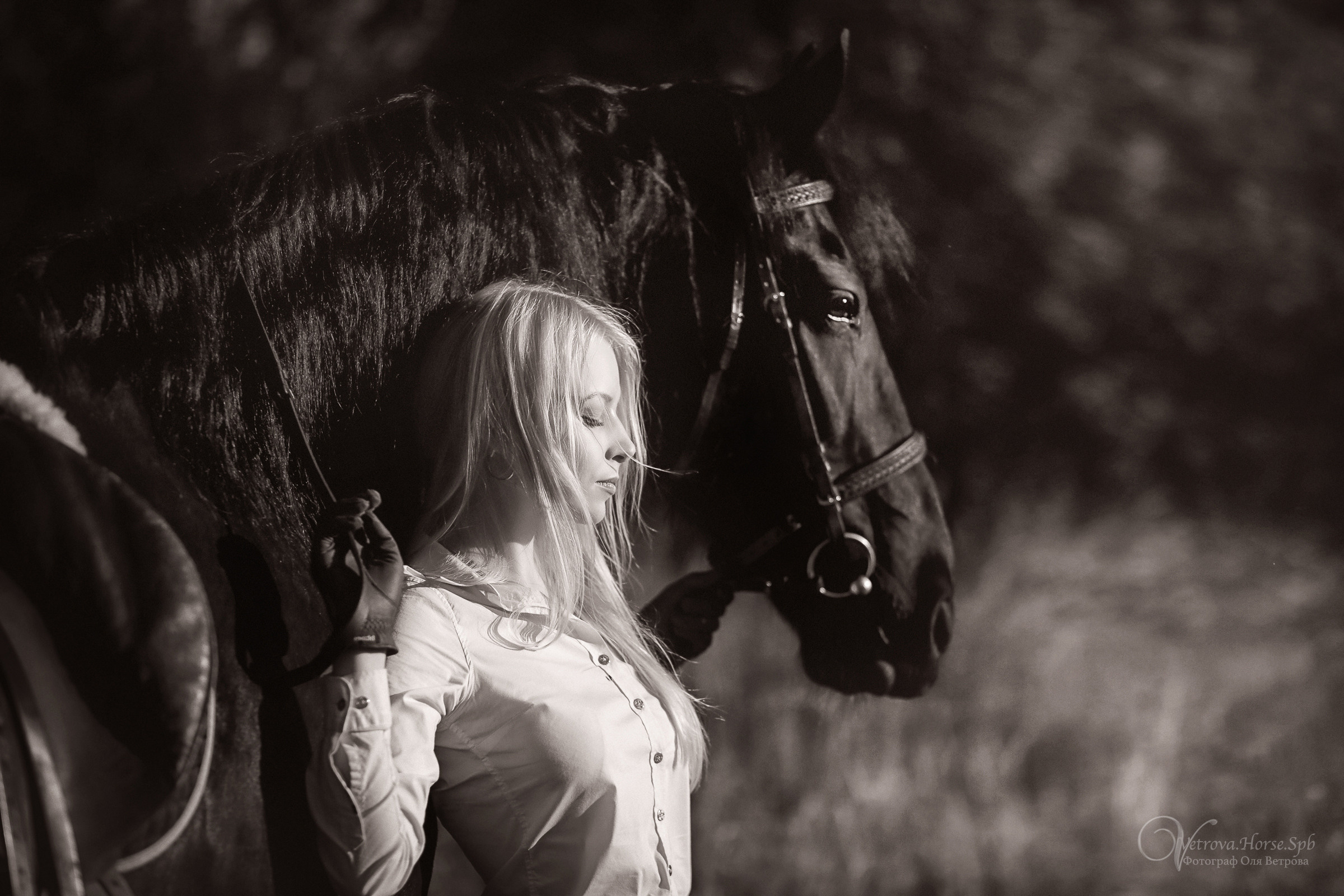Съемка с лошадью на водопаде. Фотограф женский и мужской портрет Санкт-Петербург