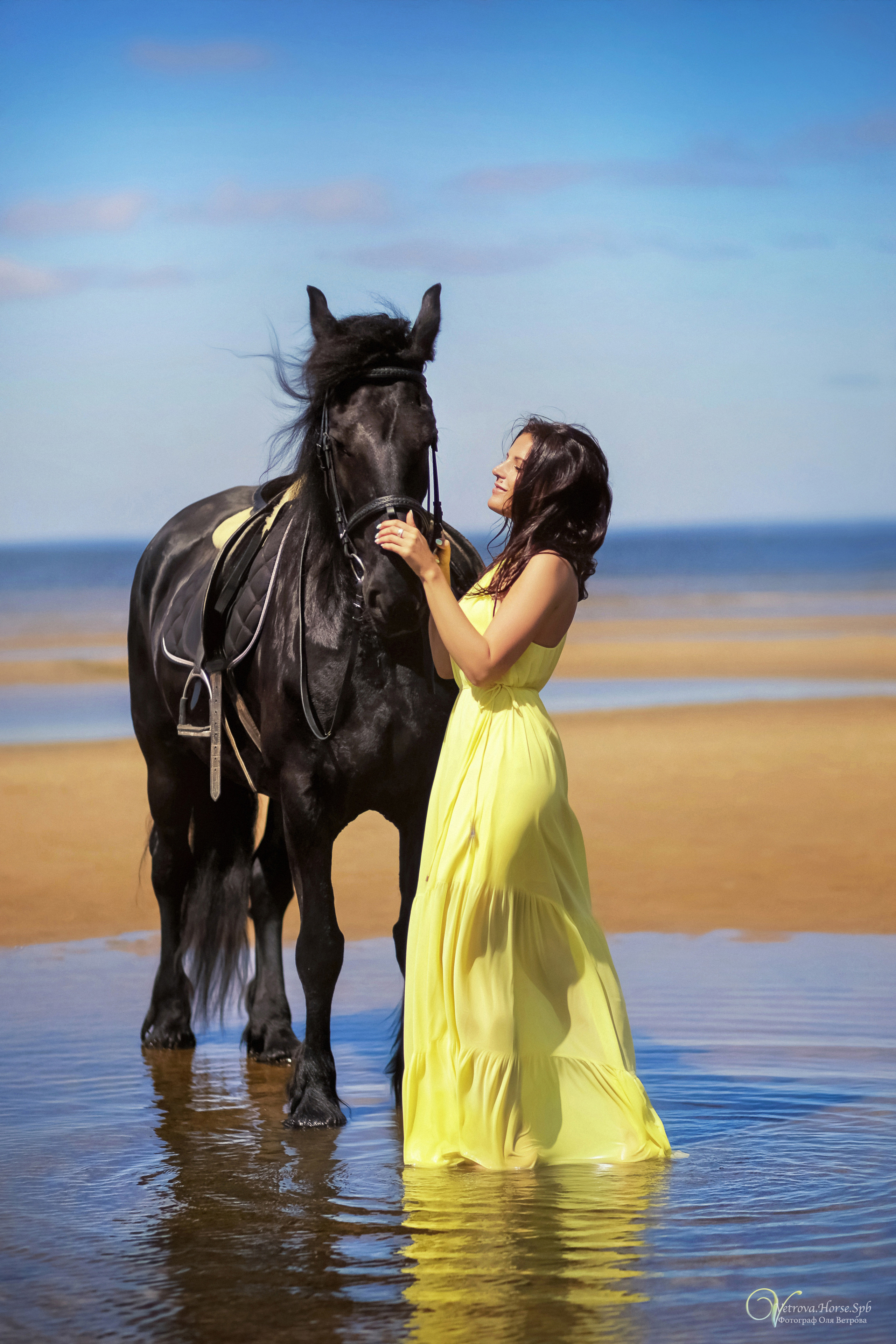 Фотосессия  с двумя конями в Санкт-Петербурге. Фотограф женский и мужской портрет Санкт-Петербург