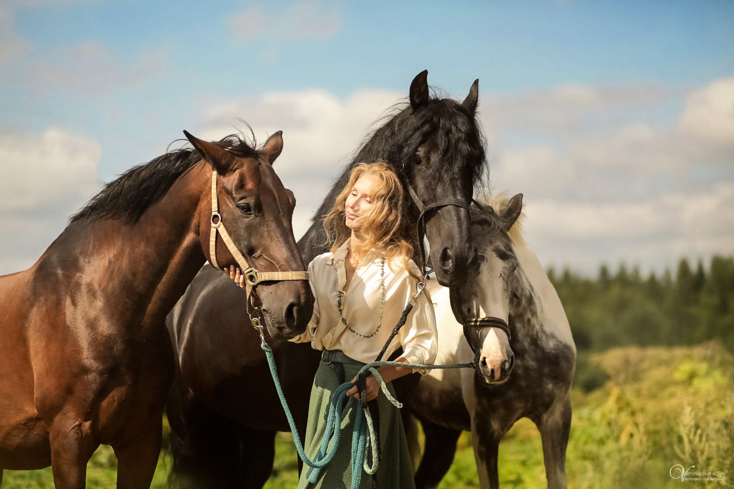 Съемка с тремя лошадьми в поле. Фотограф женский и мужской портрет Санкт-Петербург